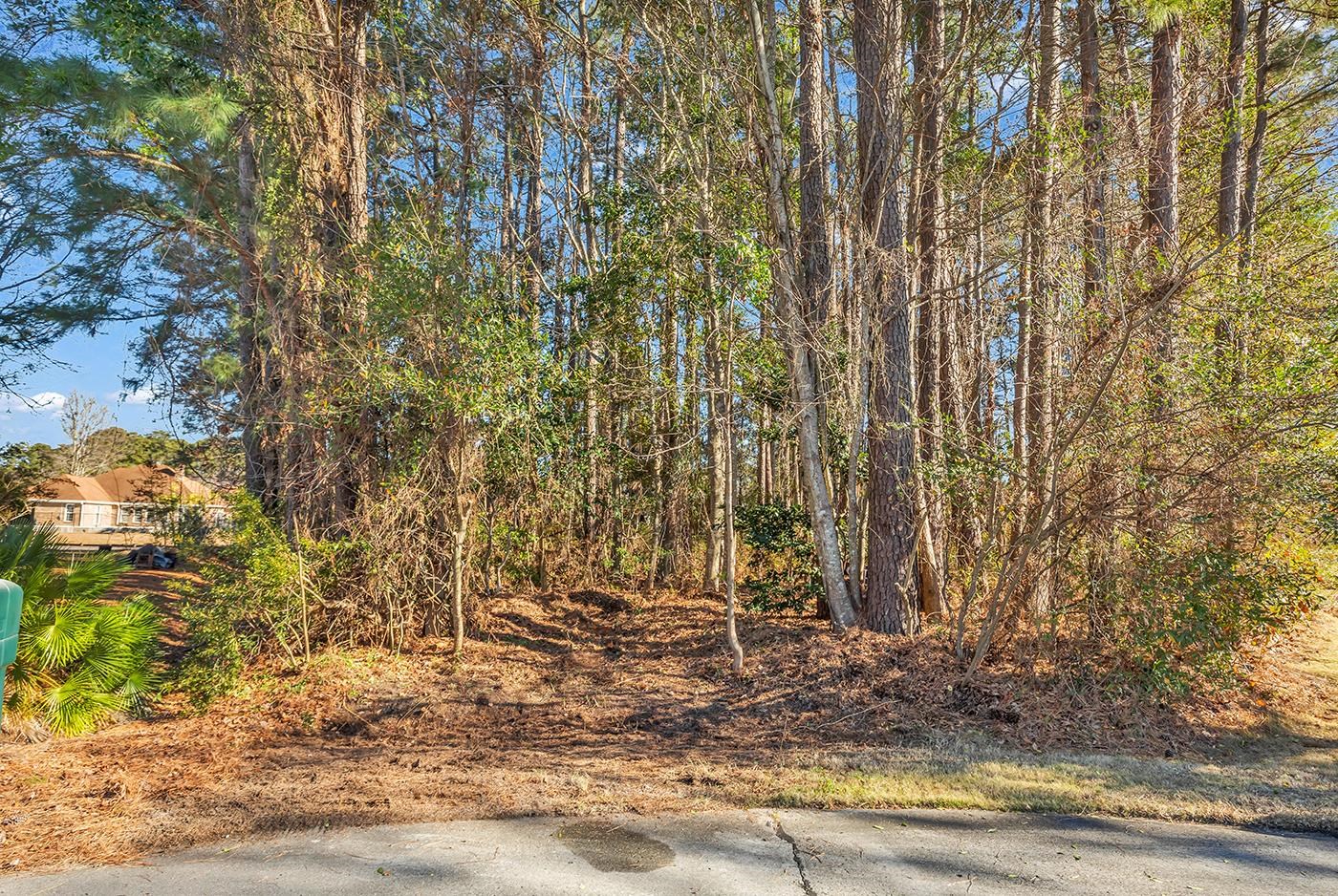 513 Reedy River Rd. Property Photo 34