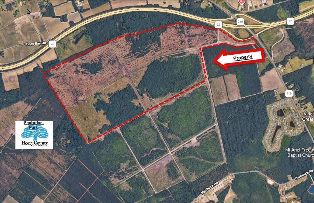 Tbd Highway 319 E Property Photo 1