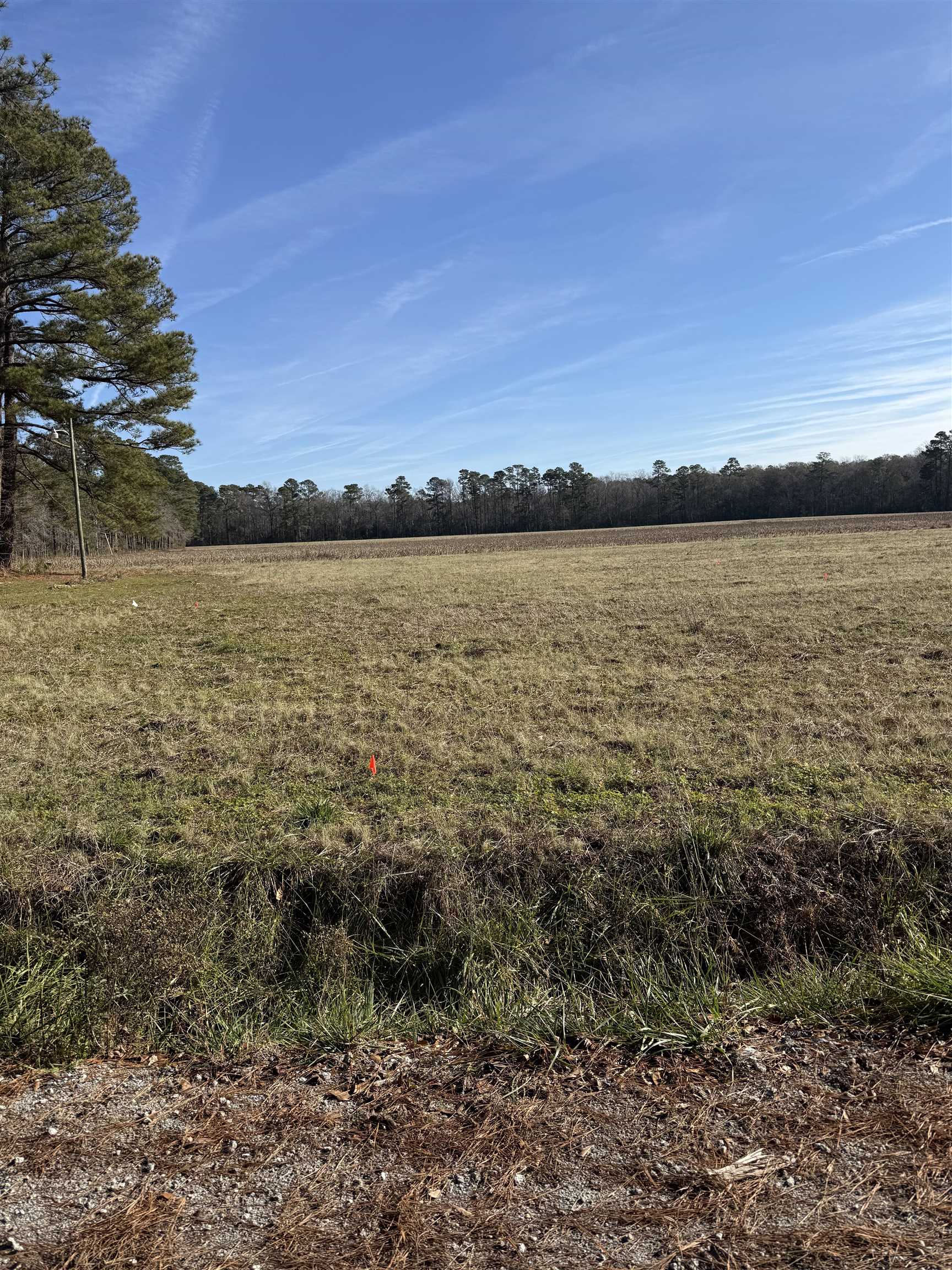 Lot 5 Johnson Shelley Rd. Property Photo 1
