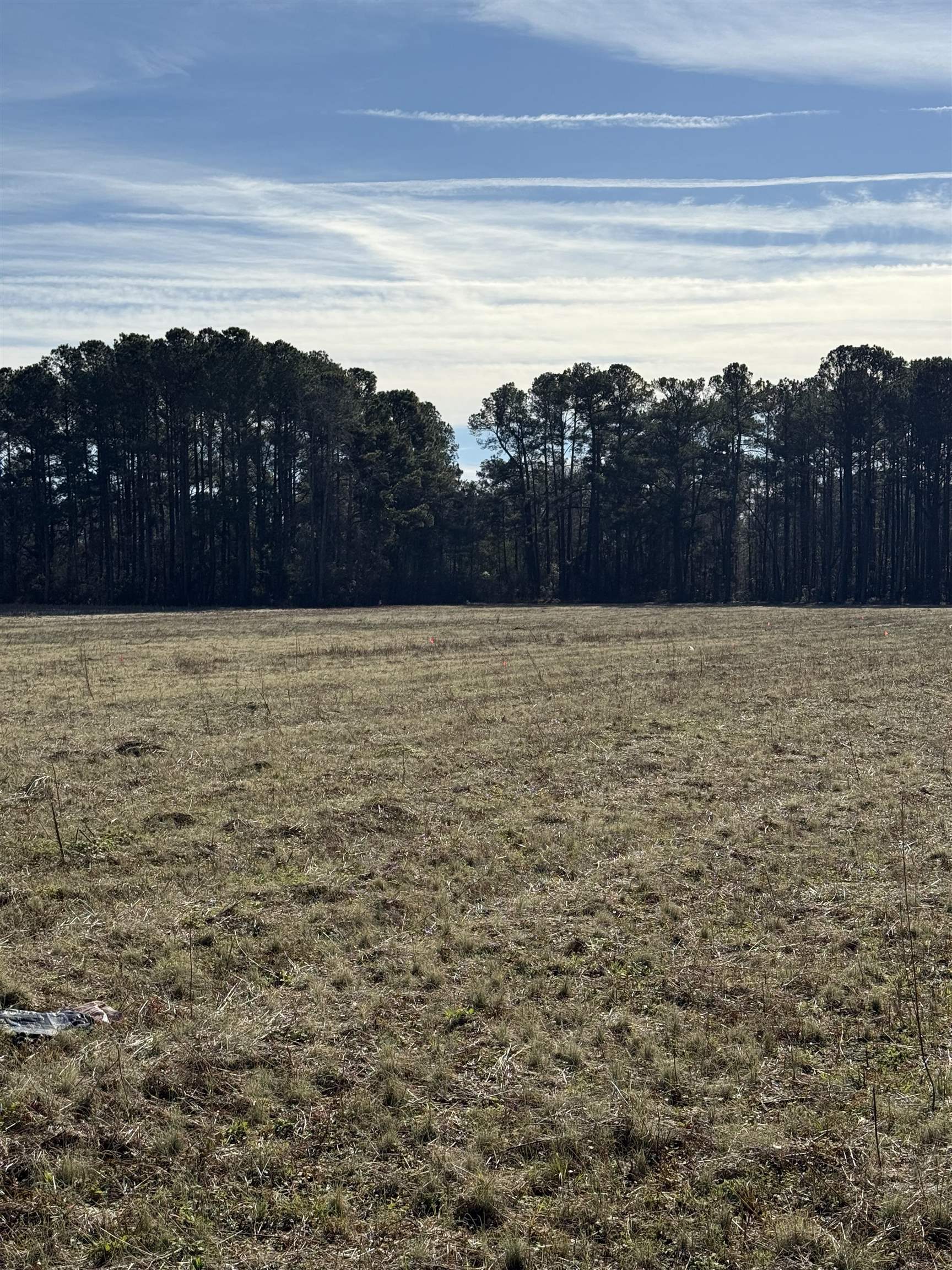 Lot 5 Johnson Shelley Rd. Property Photo 3