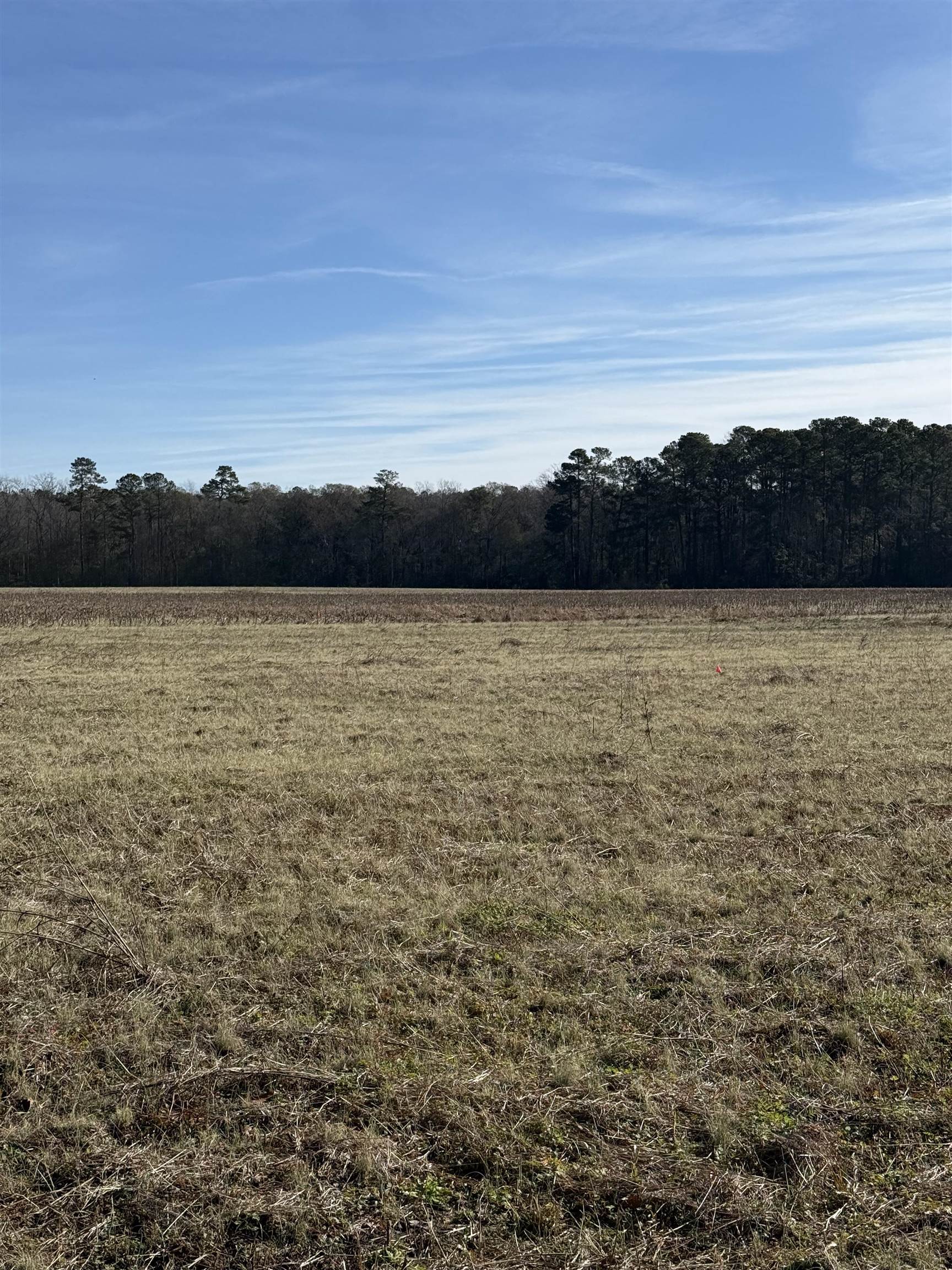 Lot 5 Johnson Shelley Rd. Property Photo 4