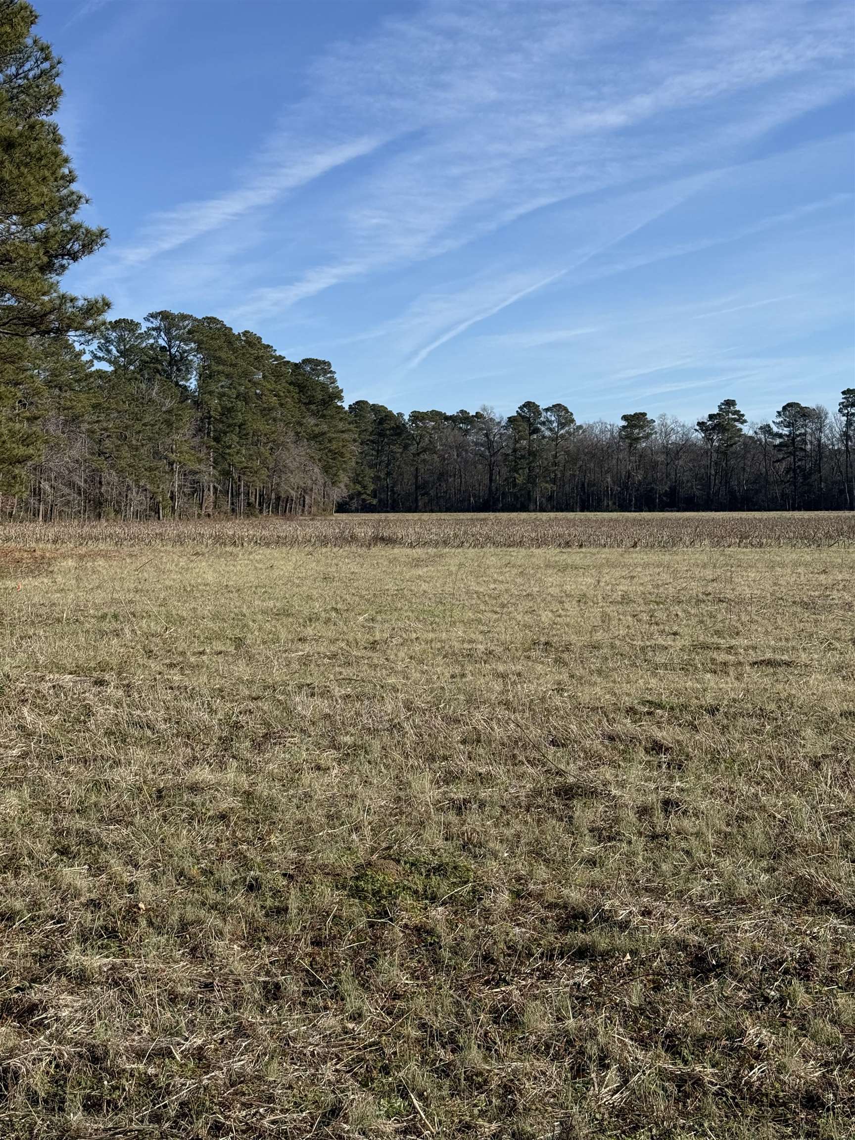 Lot 5 Johnson Shelley Rd. Property Photo 5