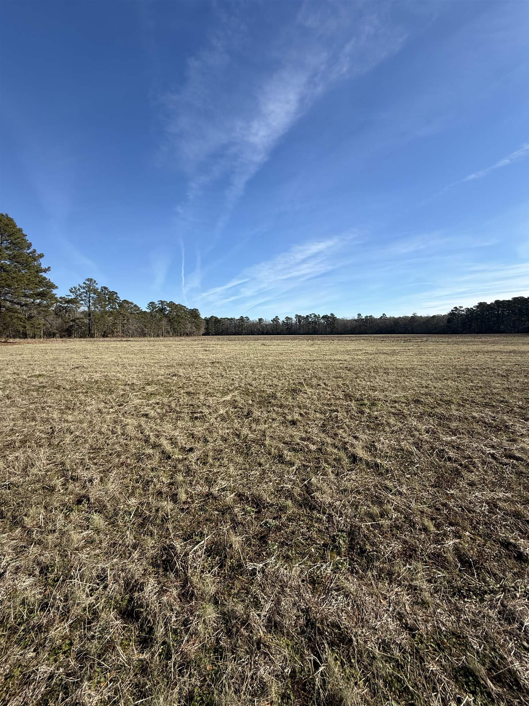 Lot 5 Johnson Shelley Rd. Property Photo 7