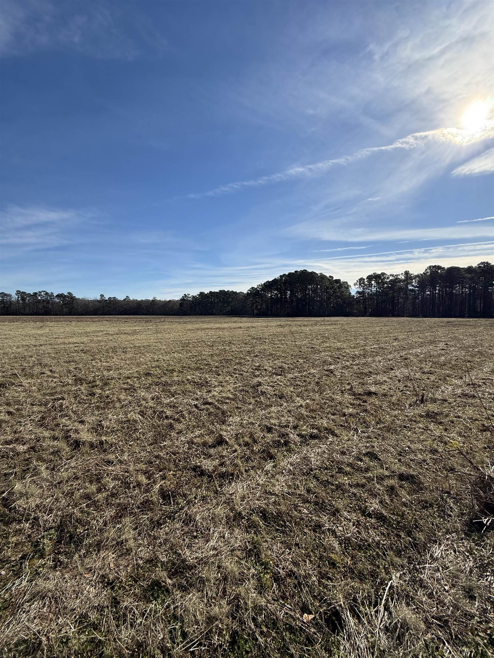 Lot 5 Johnson Shelley Rd. Property Photo 8