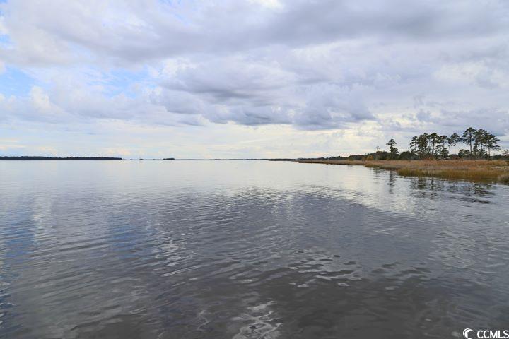 302 Chaff Ct. Property Photo 19