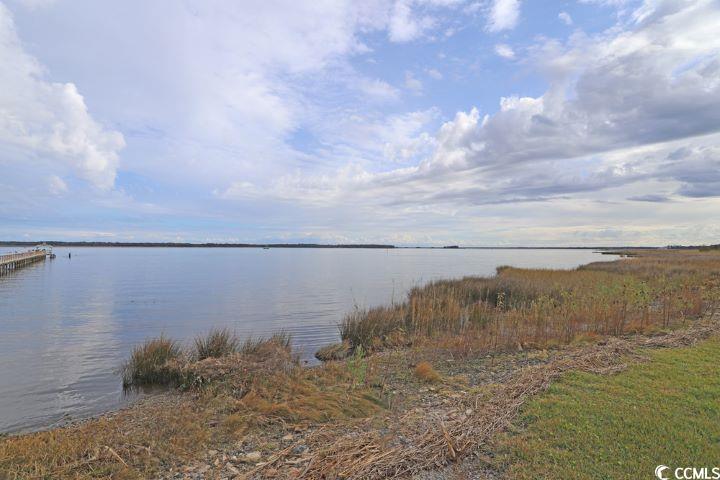 302 Chaff Ct. Property Photo 20