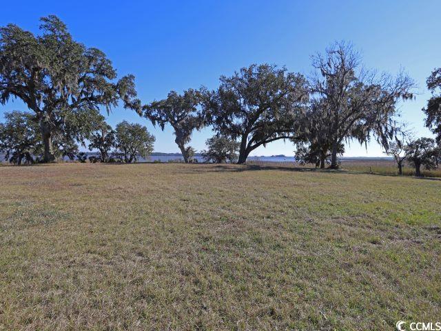 302 Chaff Ct. Property Photo 21