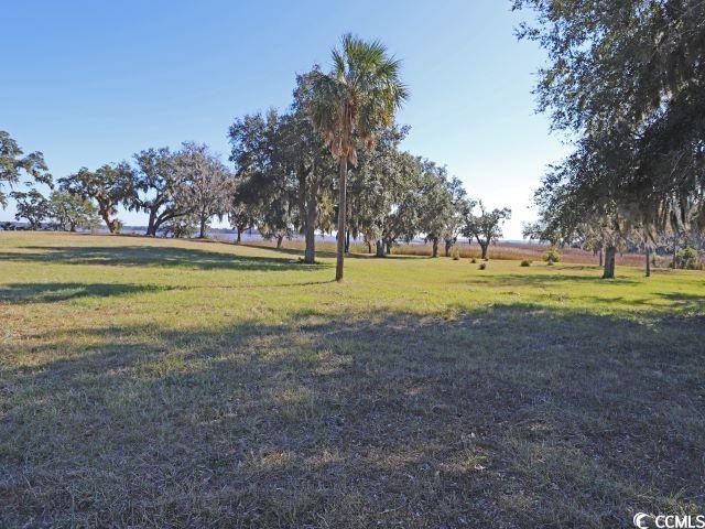 302 Chaff Ct. Property Photo 22