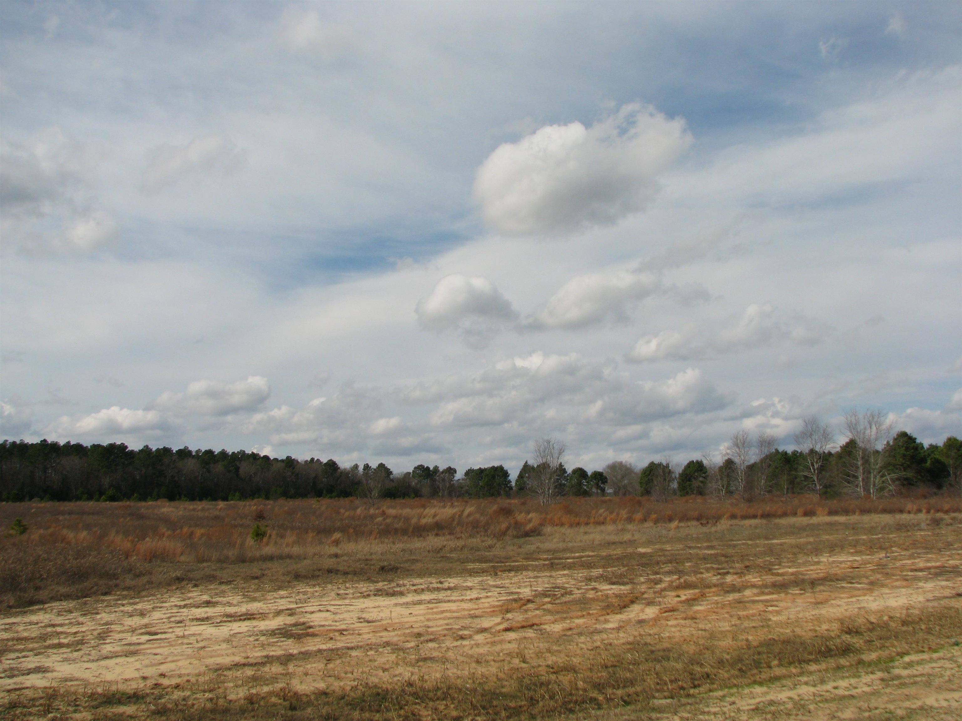 0 Cannery Rd Property Photo 6