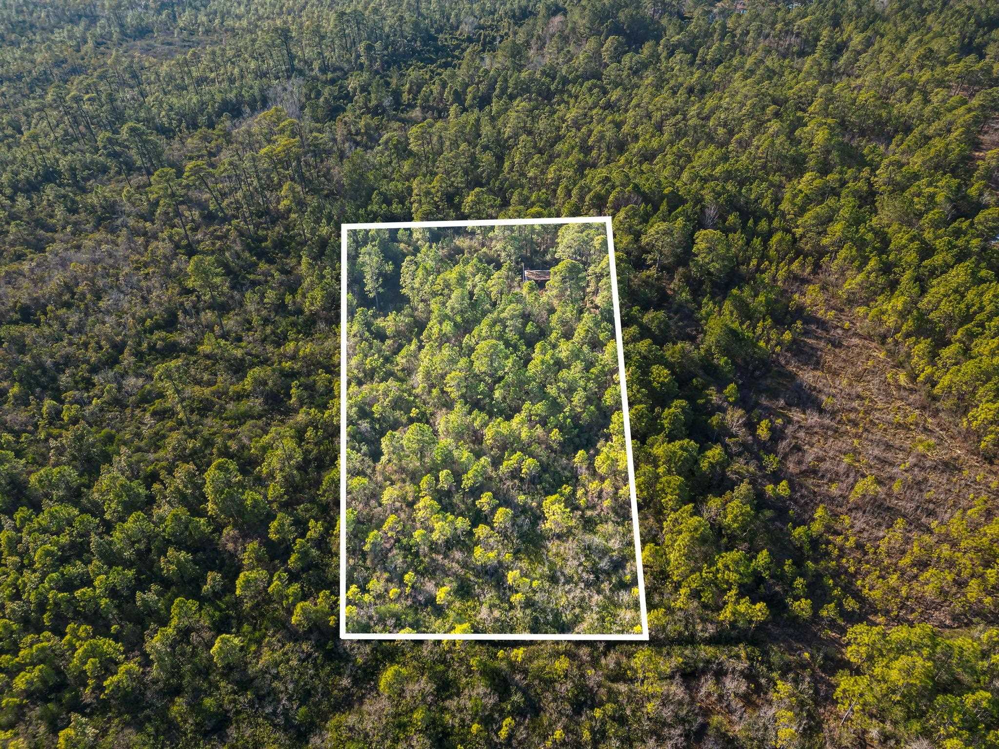 Tbd Sugar Bowl Ln. Property Photo 1