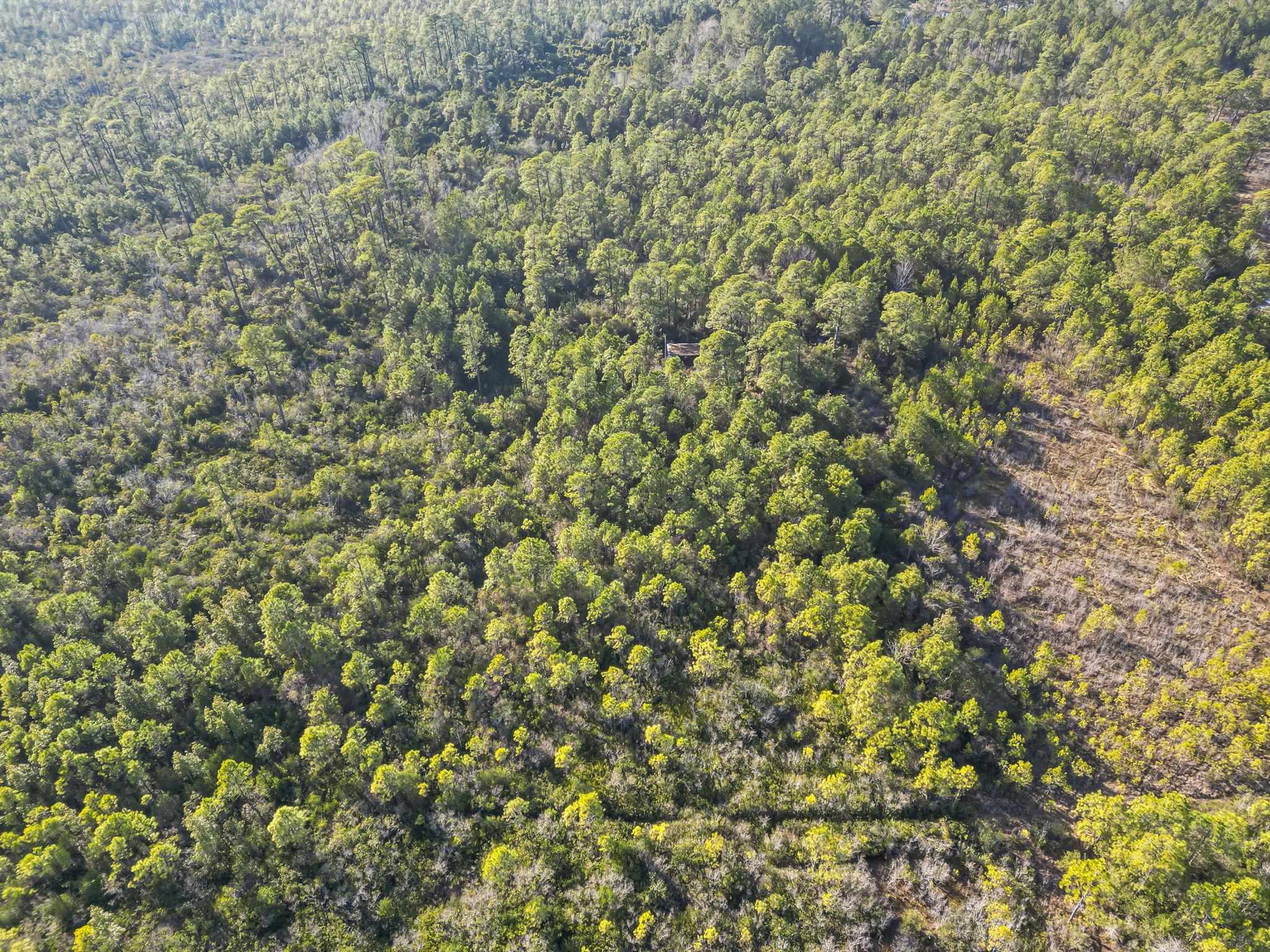 Tbd Sugar Bowl Ln. Property Photo 2