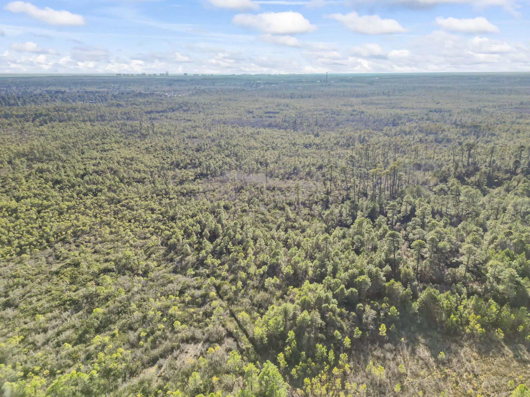 Tbd Sugar Bowl Ln. Property Photo 3