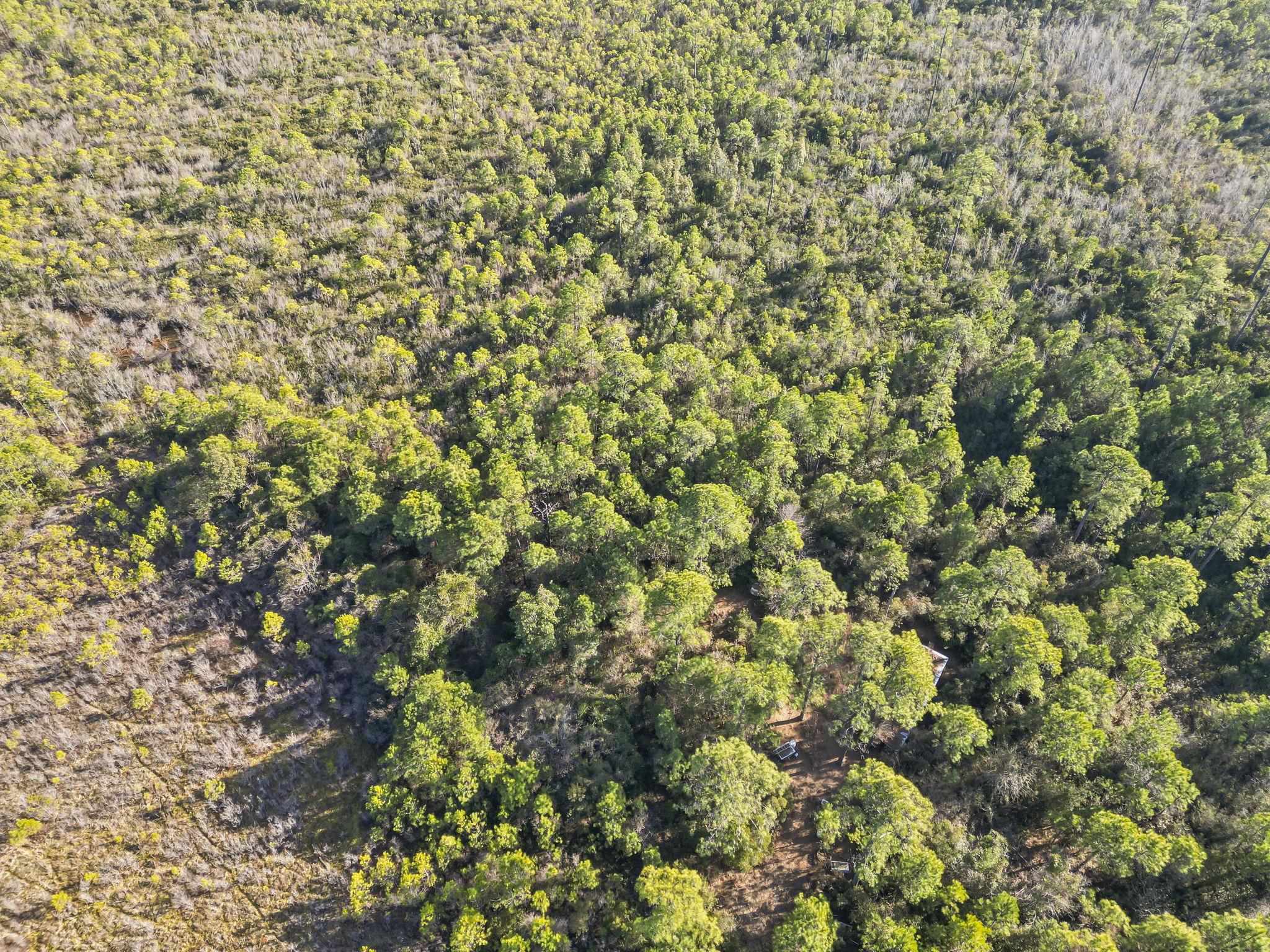 Tbd Sugar Bowl Ln. Property Photo 5