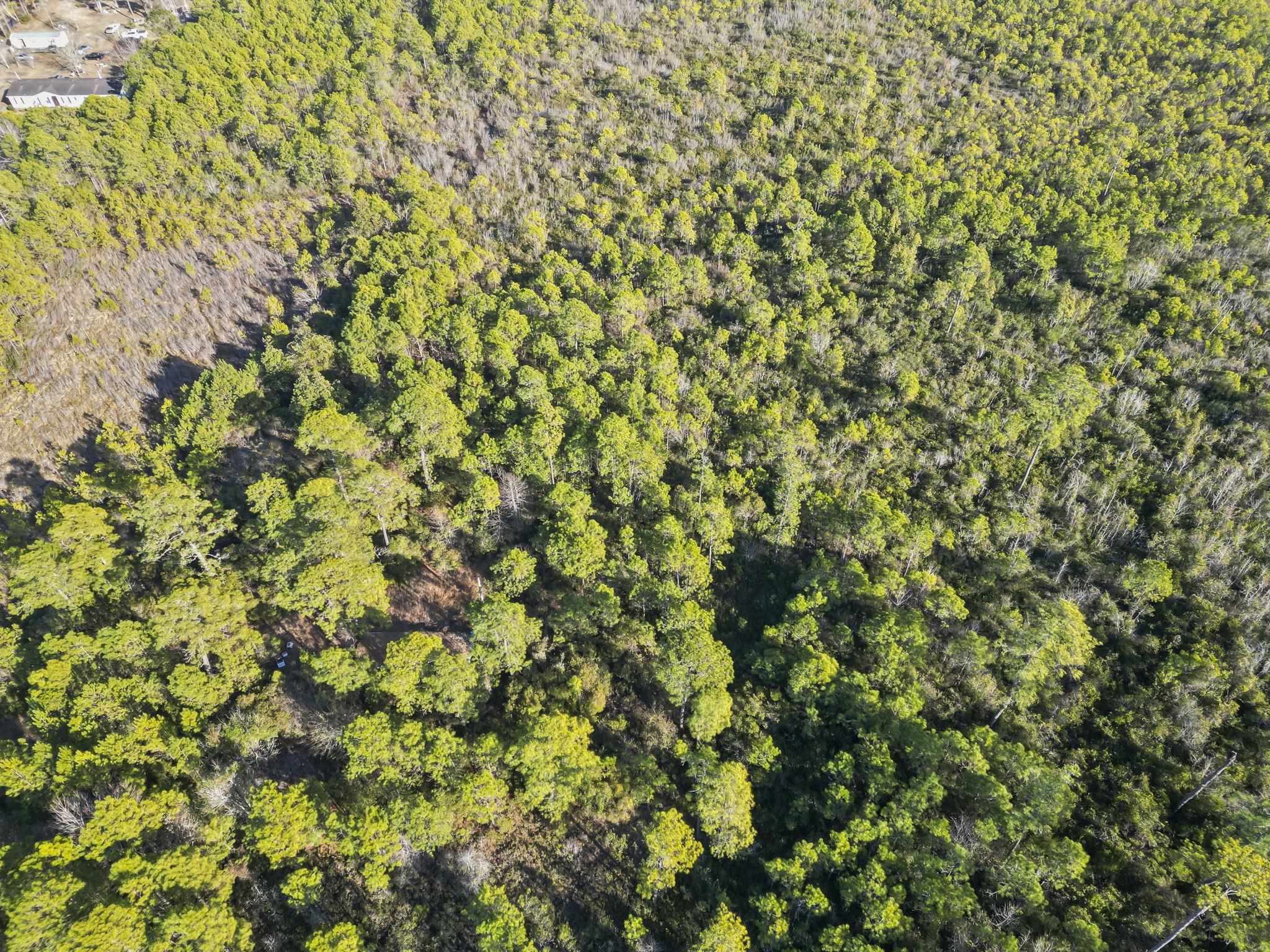 Tbd Sugar Bowl Ln. Property Photo 6