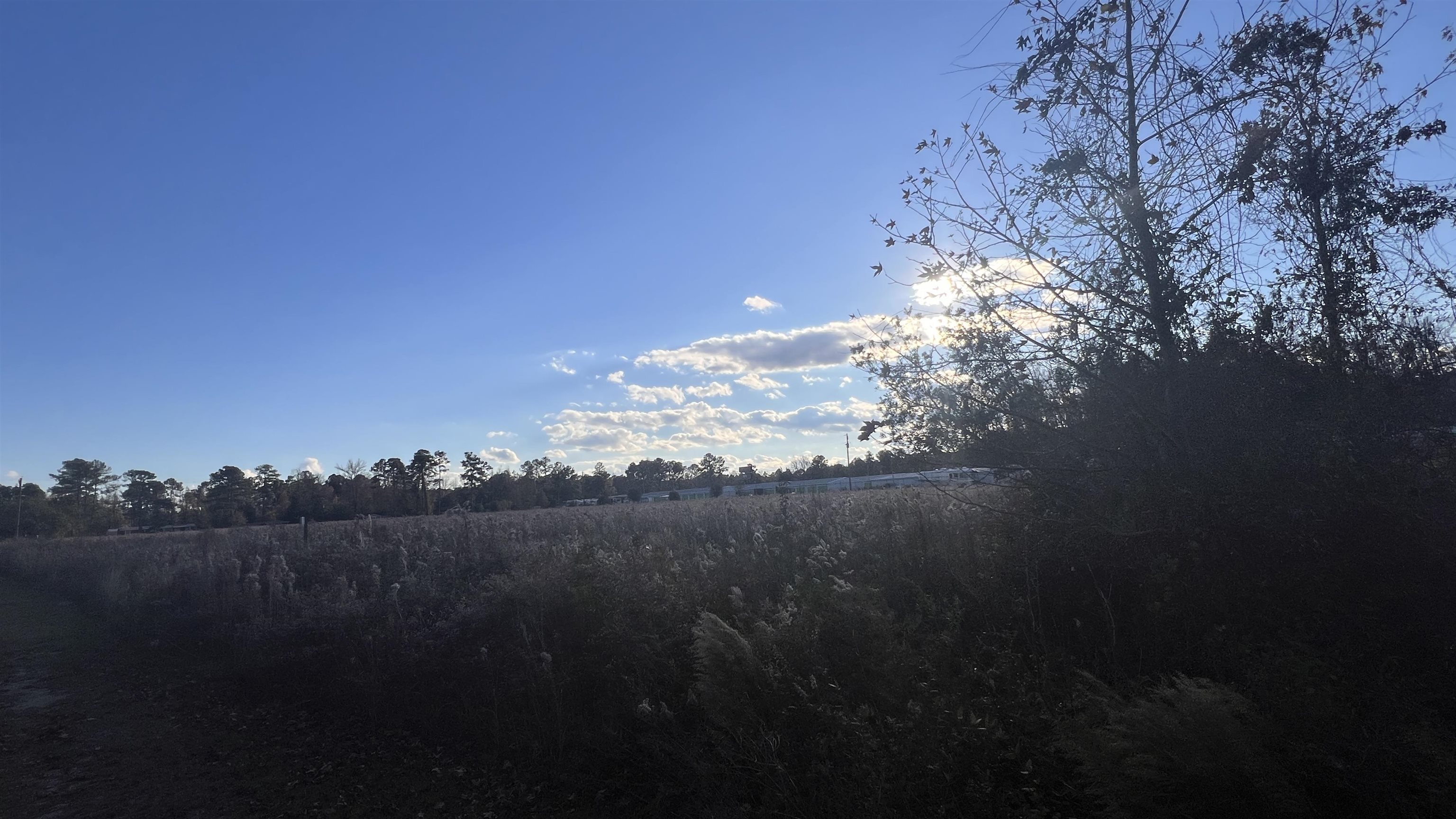 10.79 Acres Highway 90 Property Photo 4