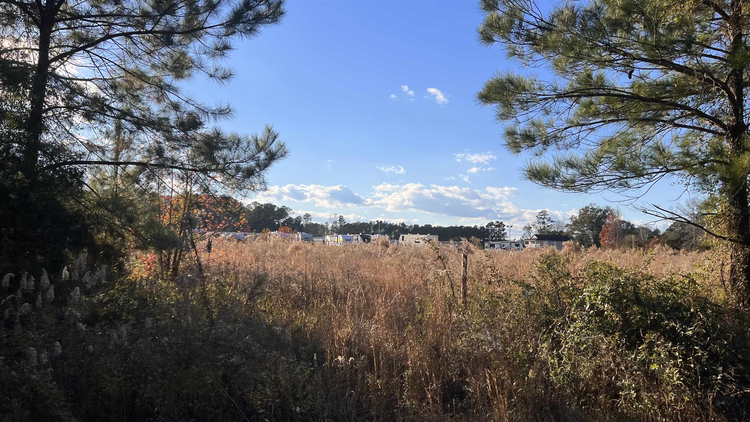 10.79 Acres Highway 90 Property Photo 5