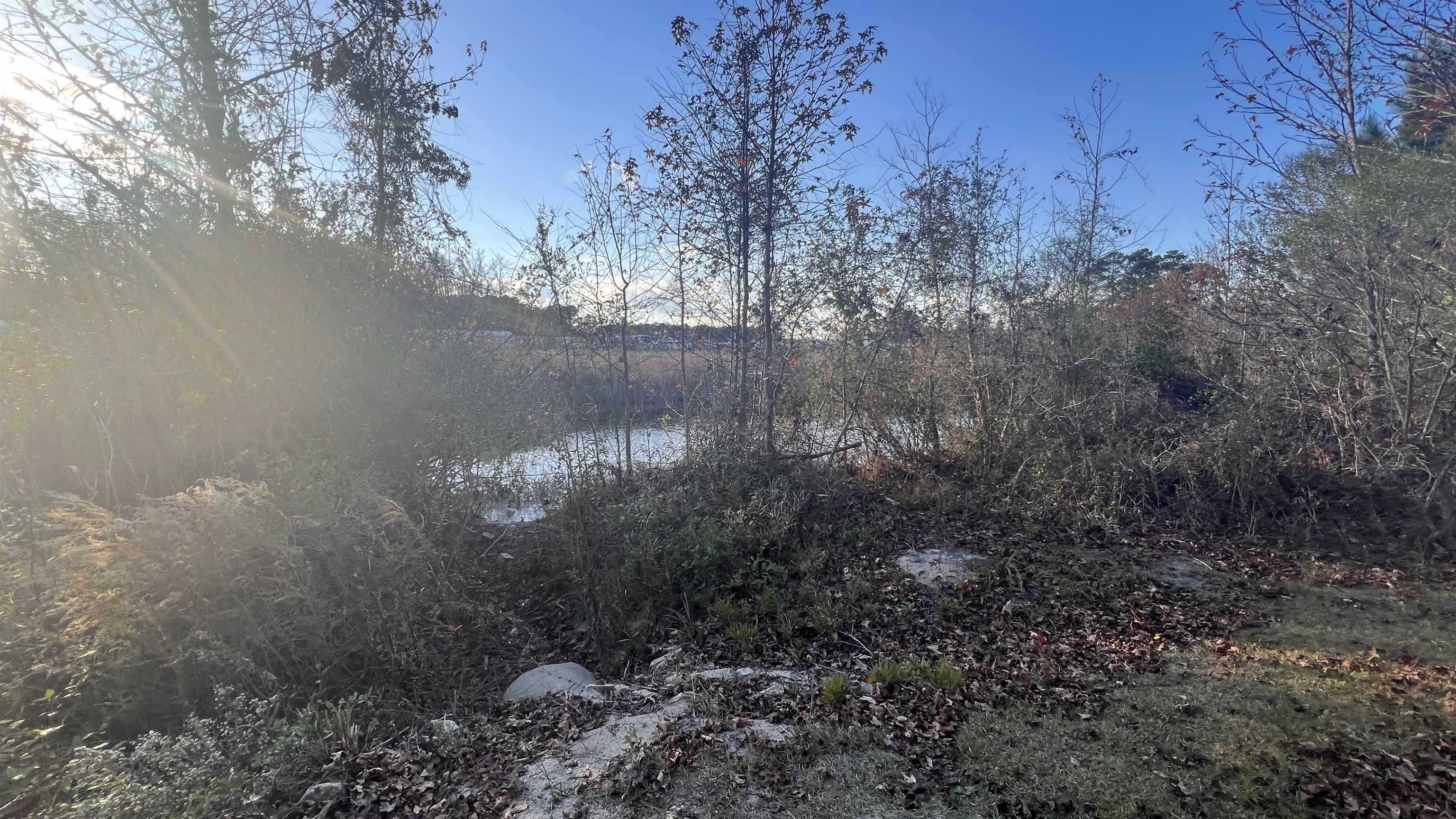 10.79 Acres Highway 90 Property Photo 10