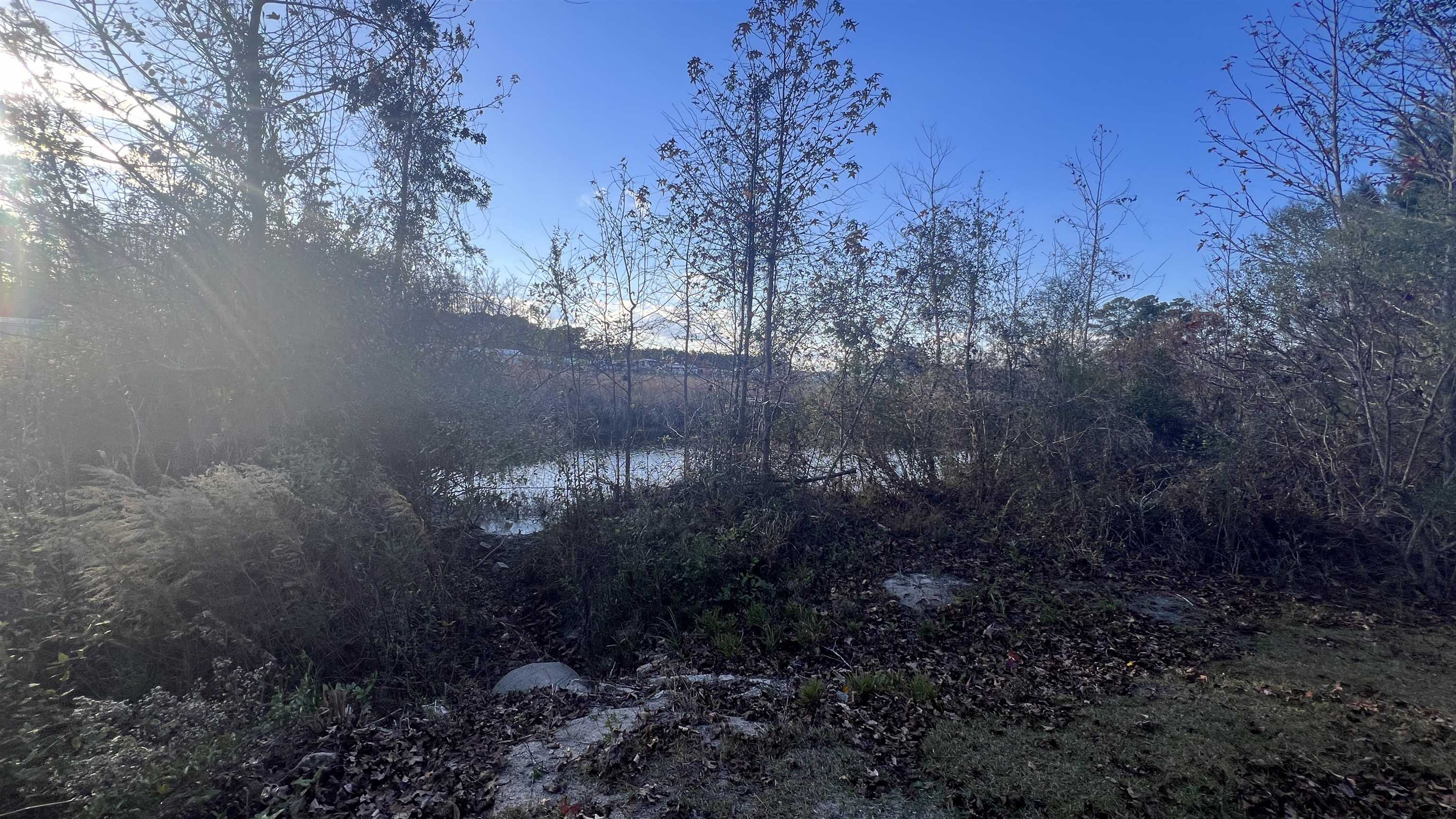 10.79 Acres Highway 90 Property Photo 11