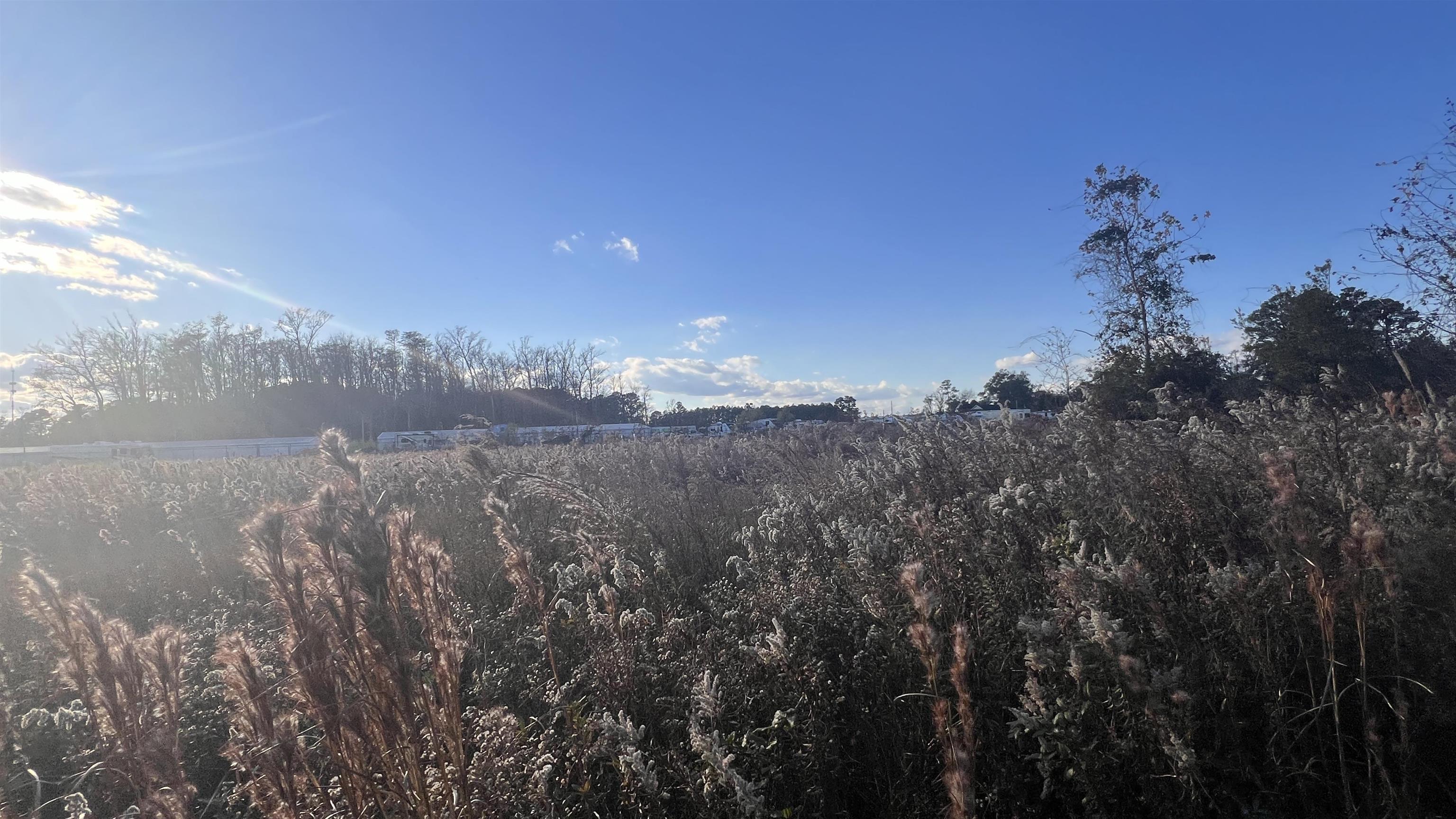10.79 Acres Highway 90 Property Photo 12