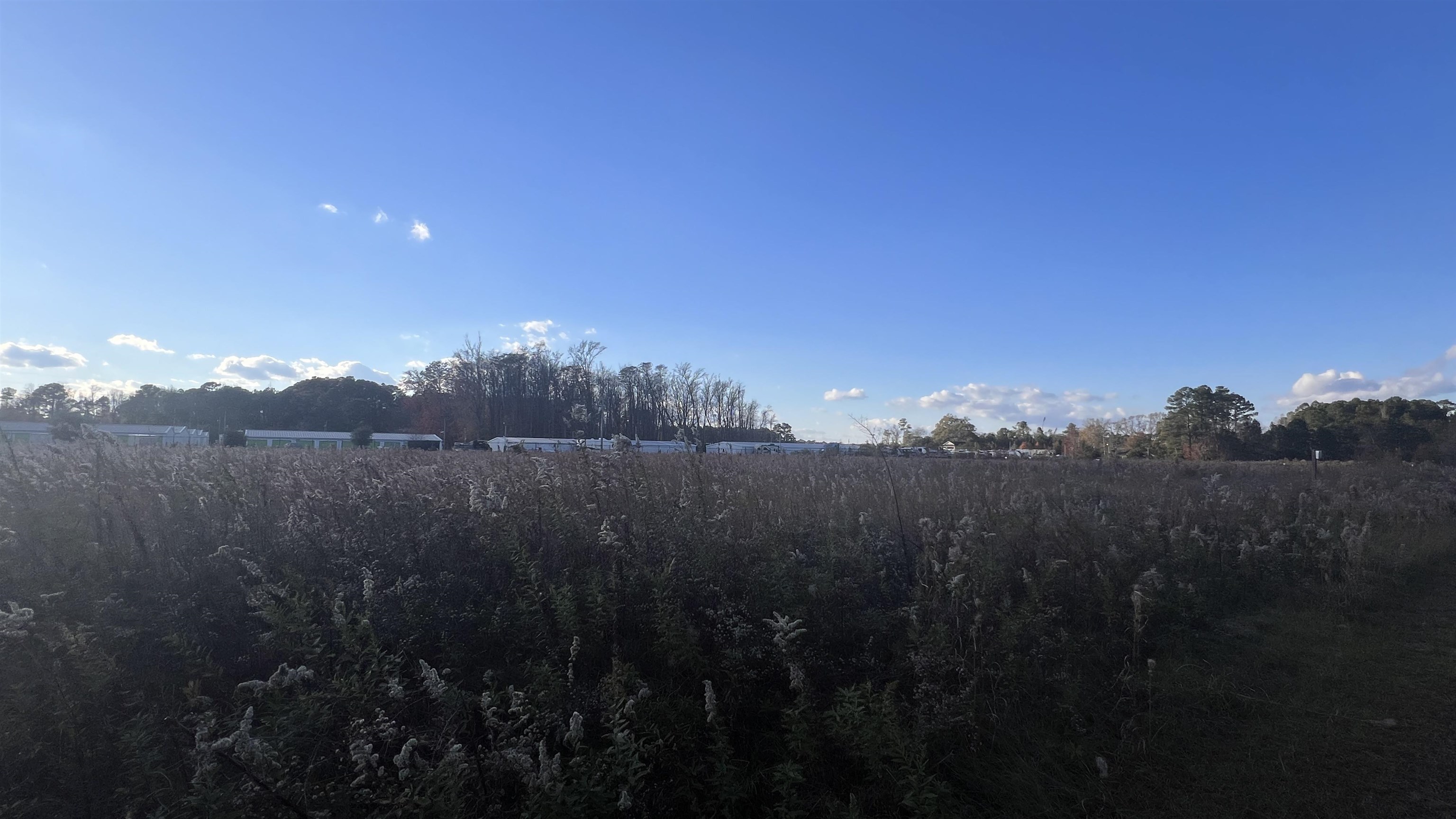 10.79 Acres Highway 90 Property Photo 13