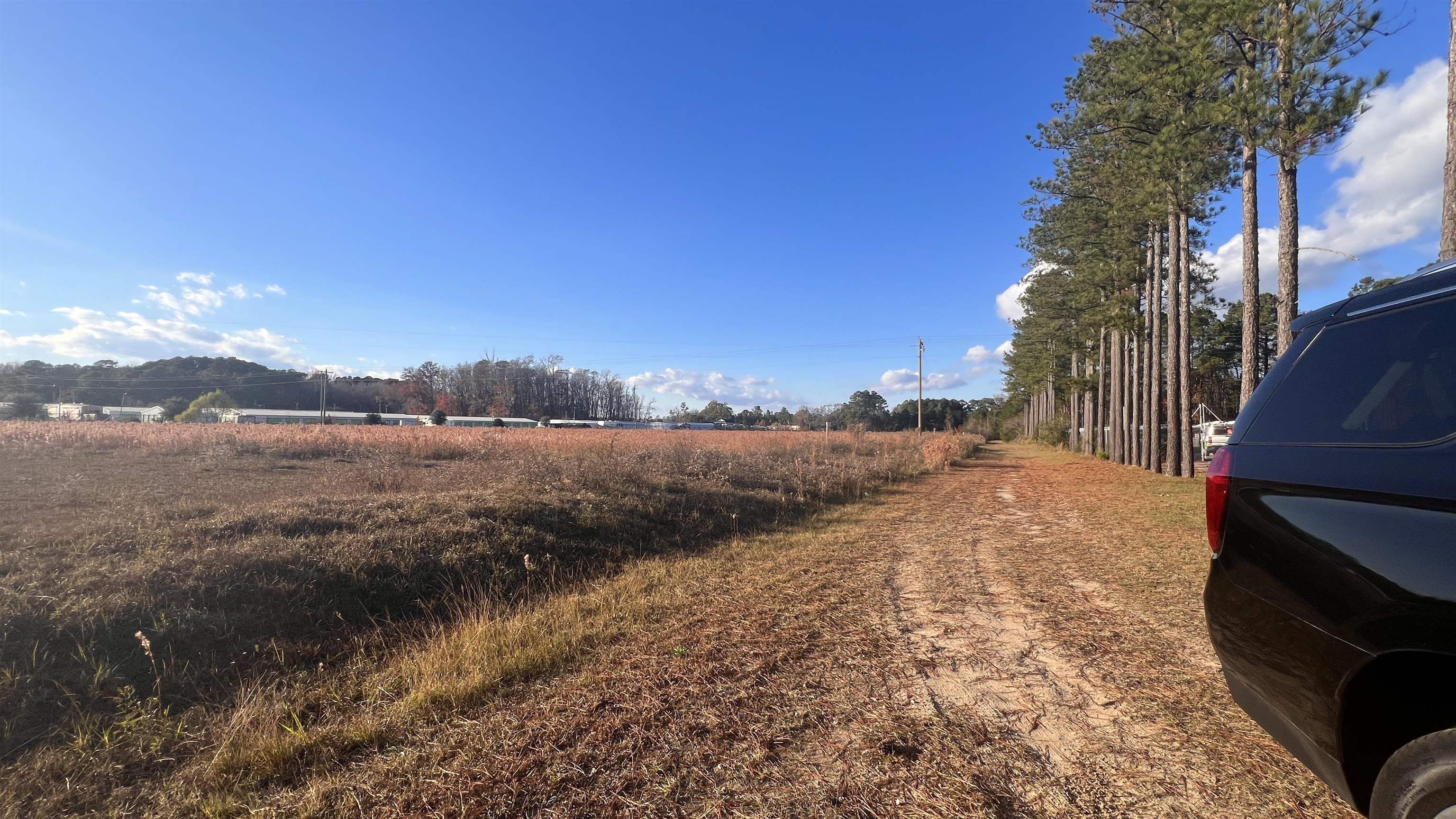 10.79 Acres Highway 90 Property Photo 14