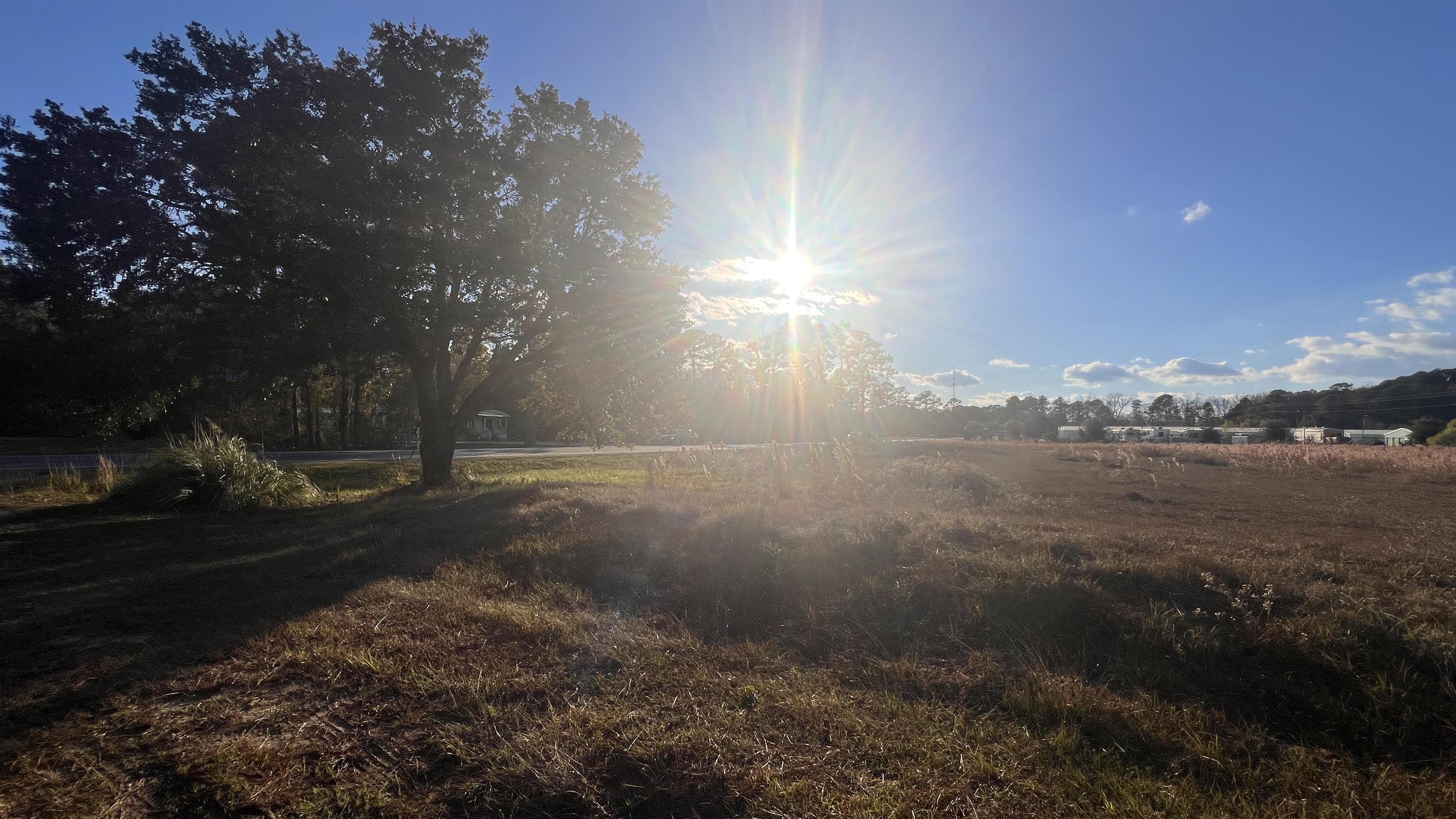 10.79 Acres Highway 90 Property Photo 15