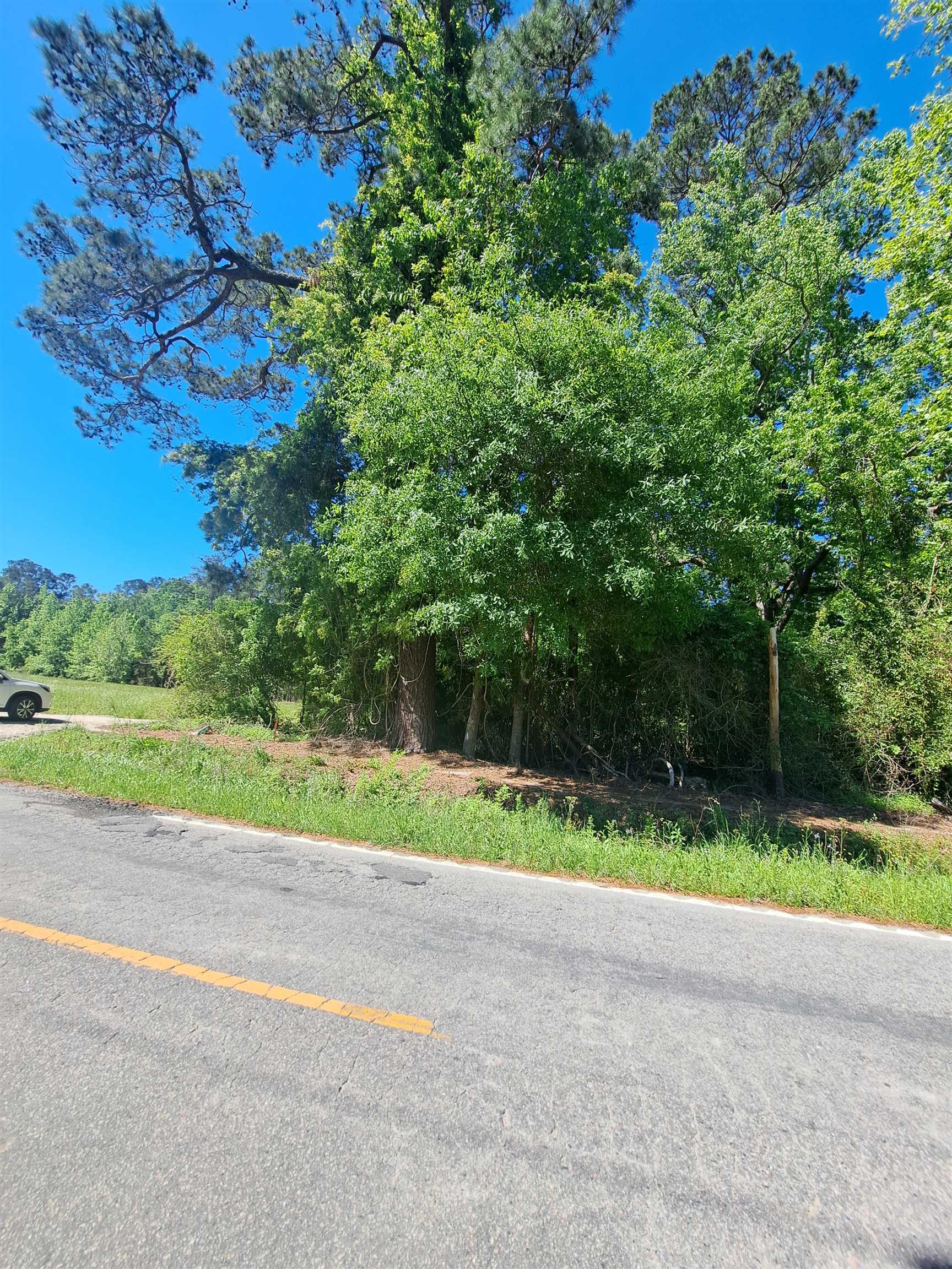 Tbd Lot A Bucksport Rd. Property Photo 6
