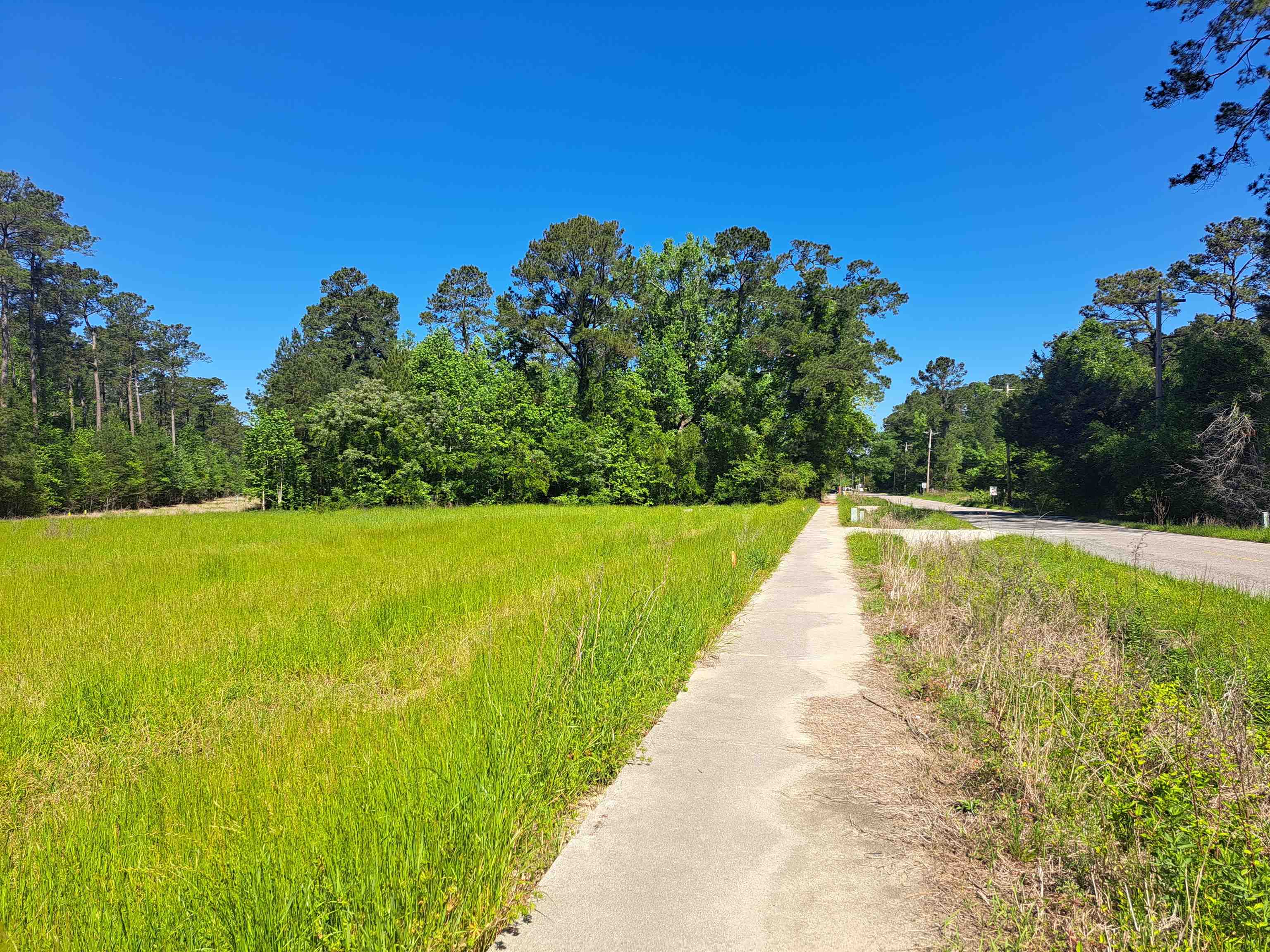 Tbd Lot B Bucksport Rd. Property Photo 1