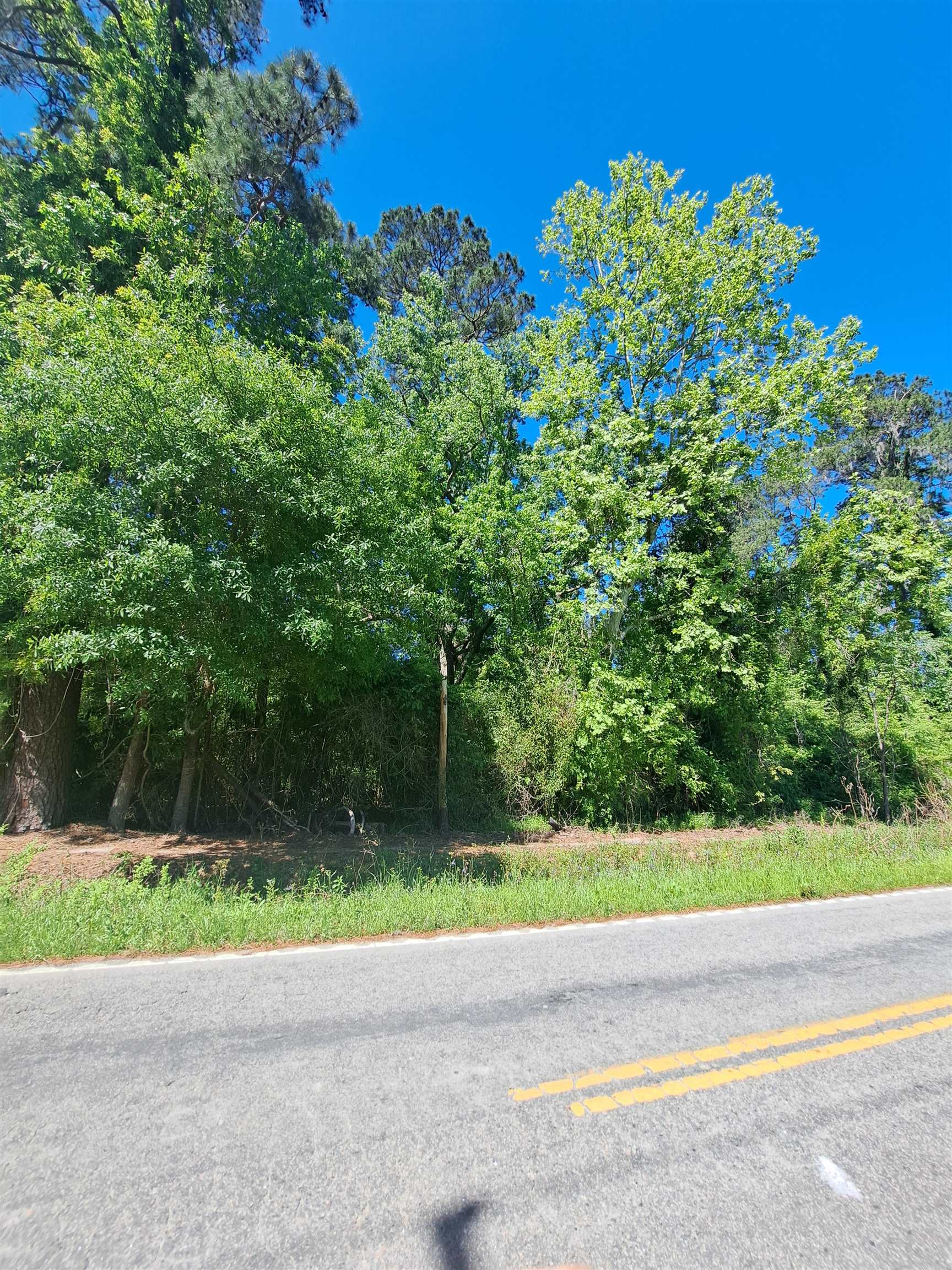 Tbd Lot B Bucksport Rd. Property Photo 5