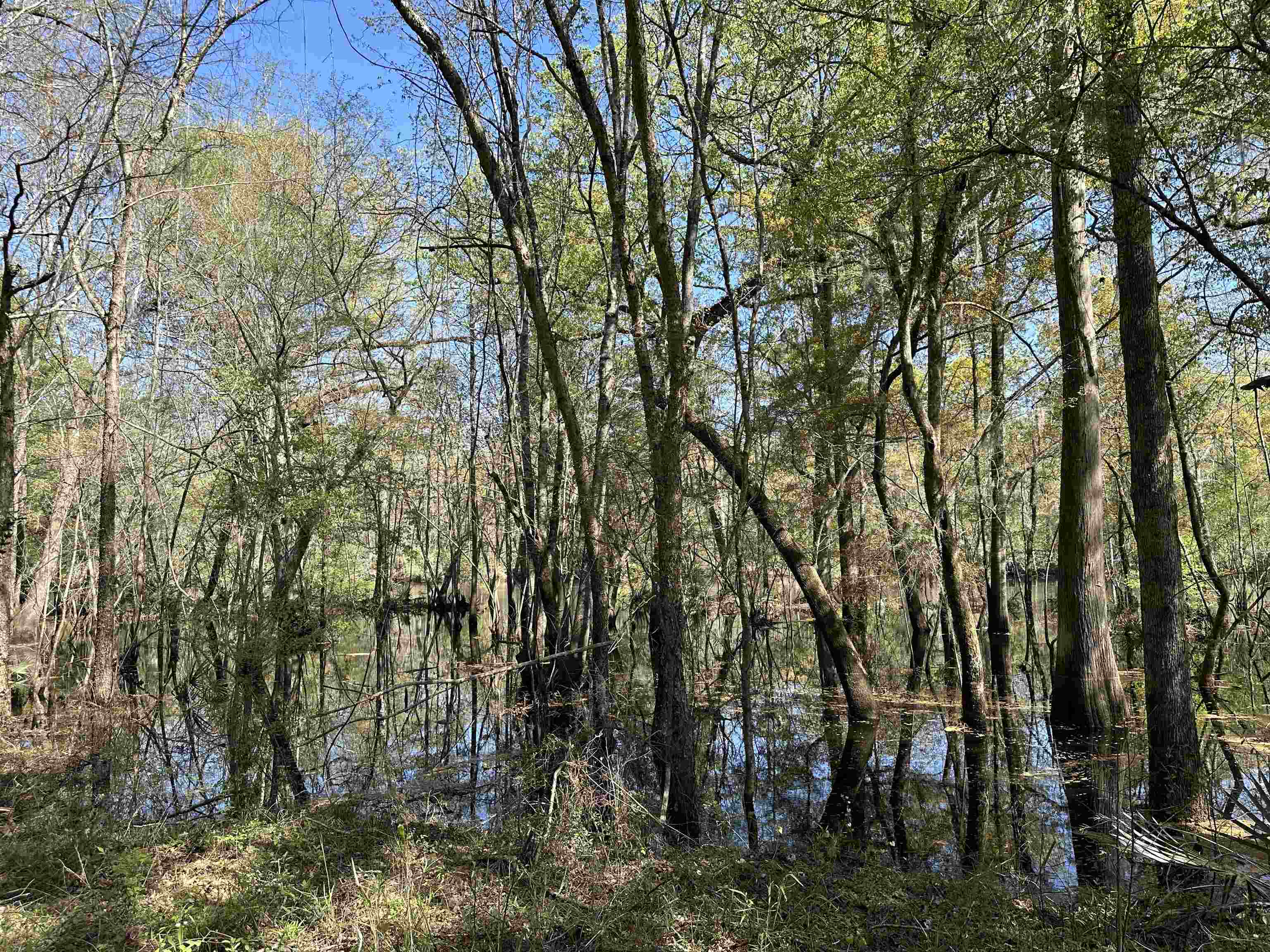 Lot 6 - Tbd Old Camp Ln. Property Photo 5