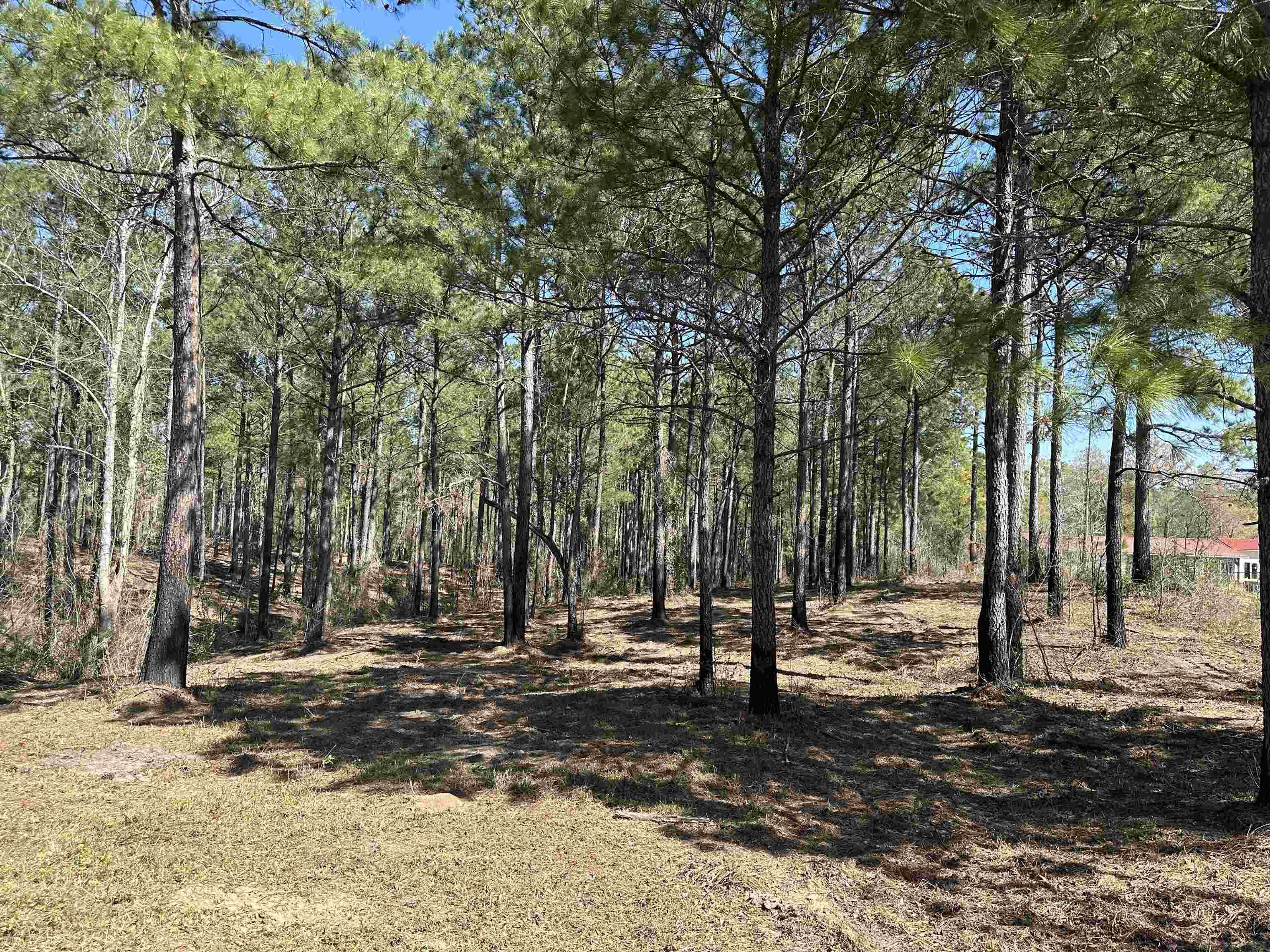 Lot 6 - Tbd Old Camp Ln. Property Photo 8