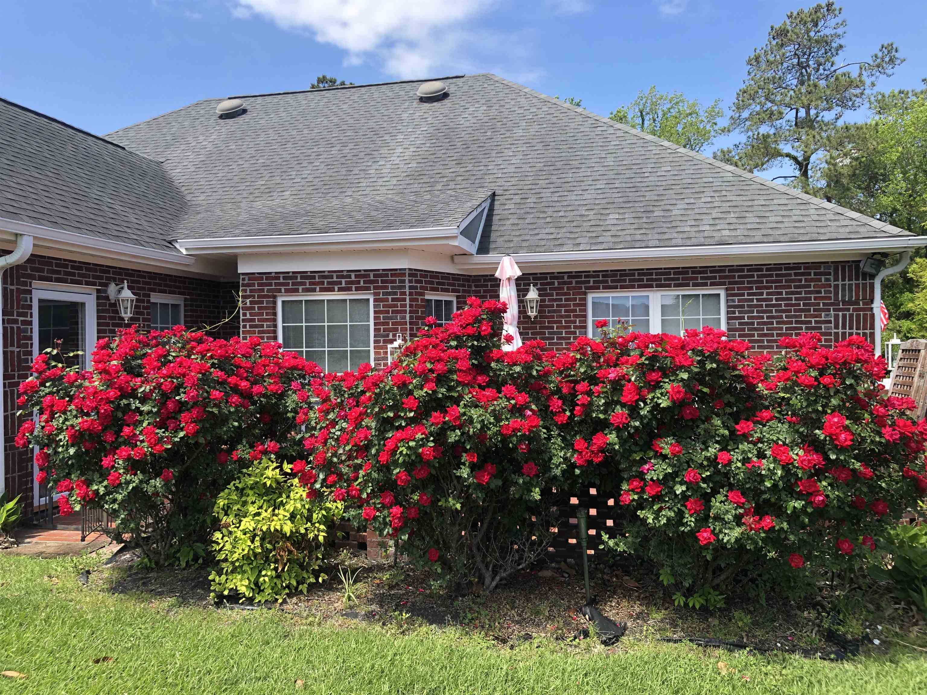 3635 Cedar Creek Run Property Photo 2