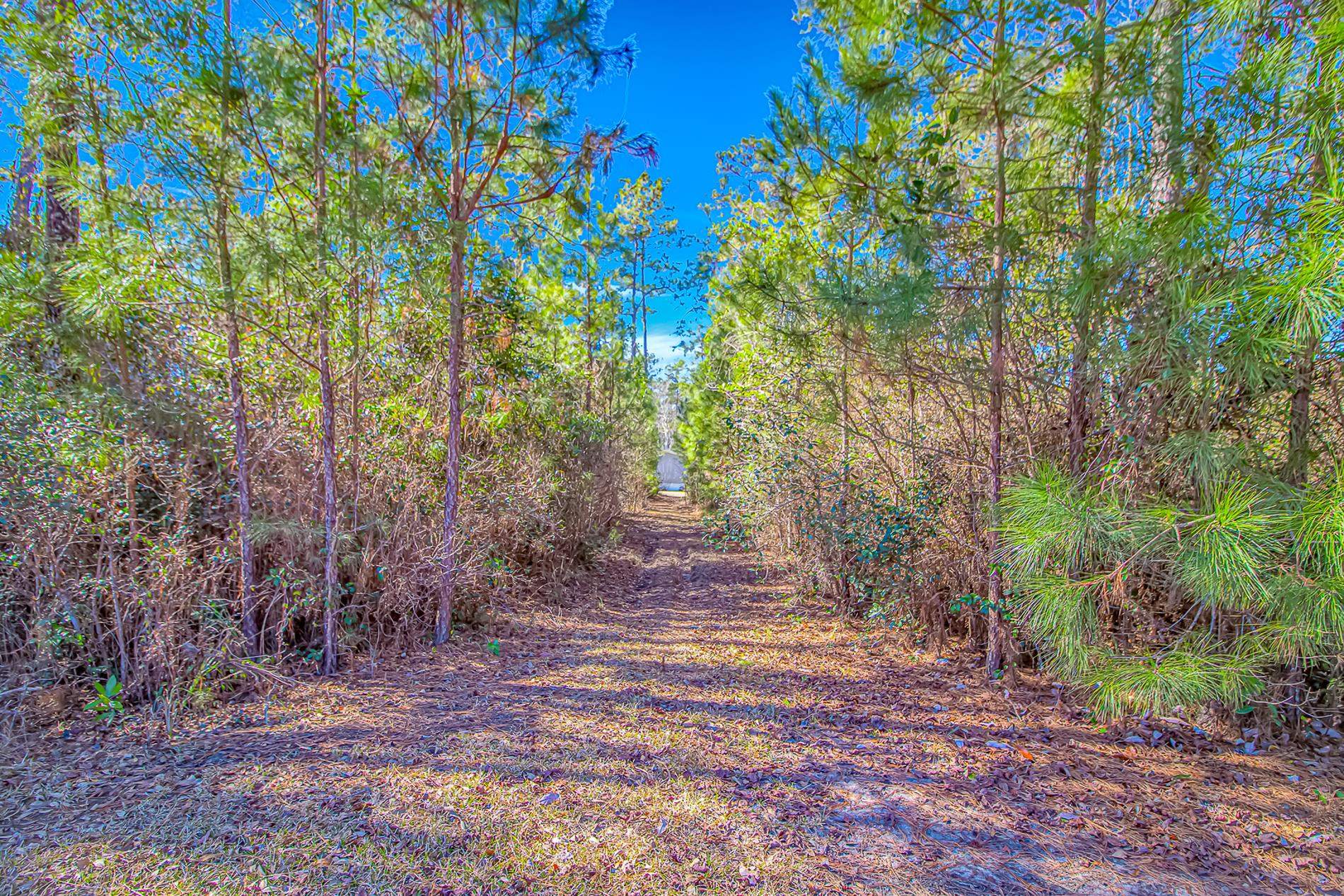 81 Silver Pond Ln Property Photo 34