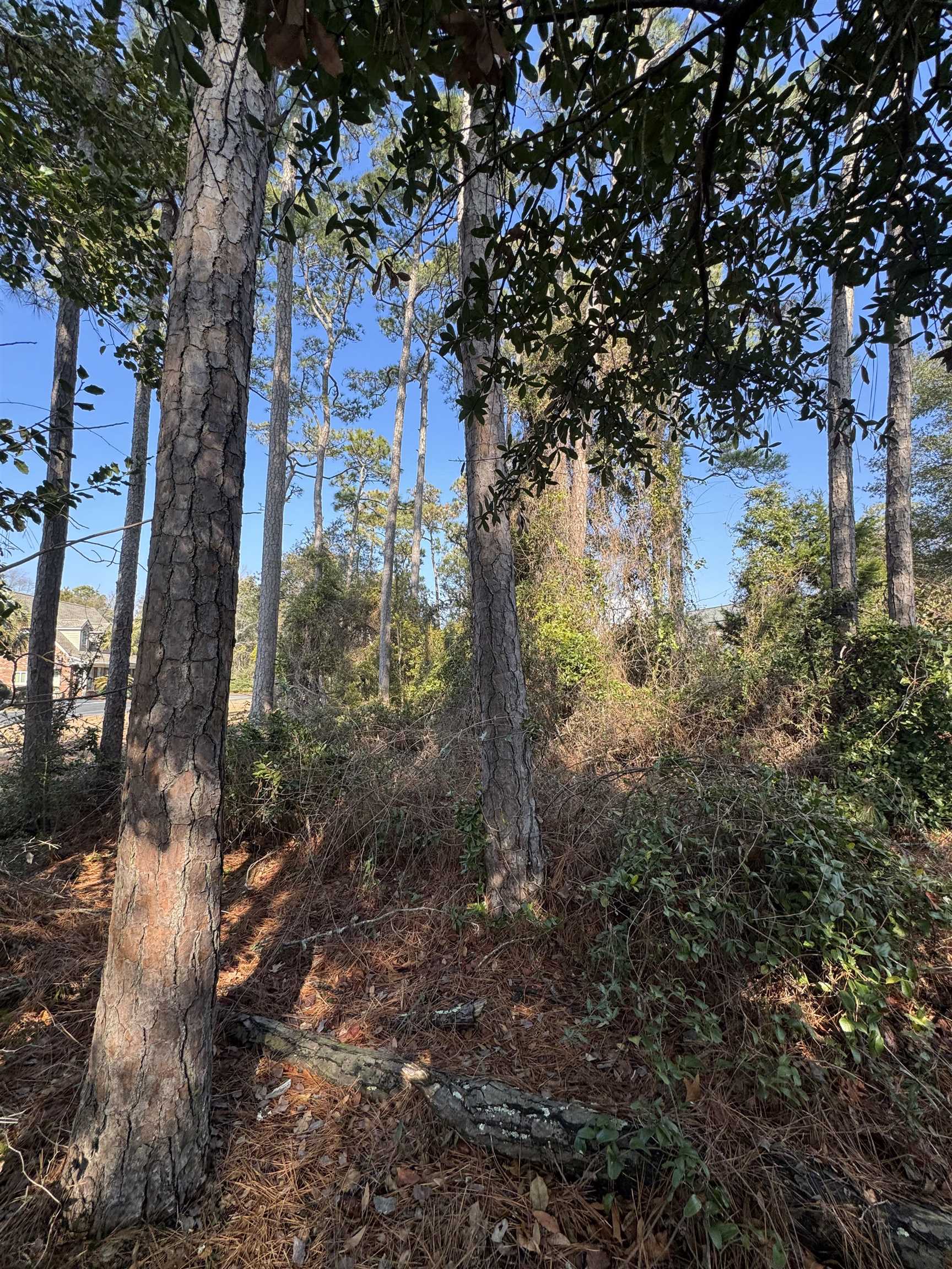 958 Tiffany Ln. Property Photo 2