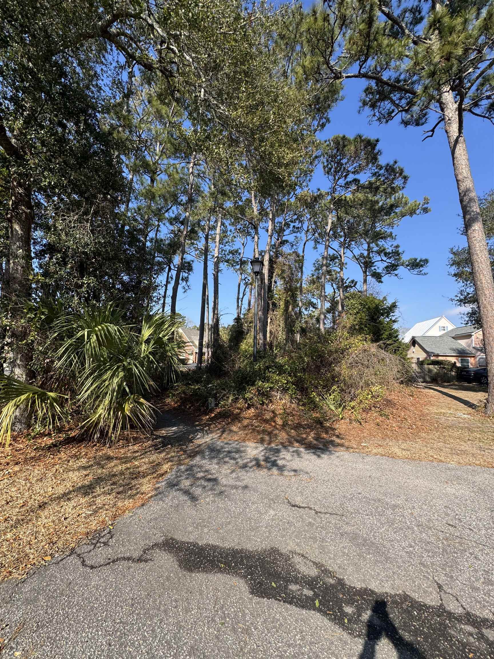 958 Tiffany Ln. Property Photo 3