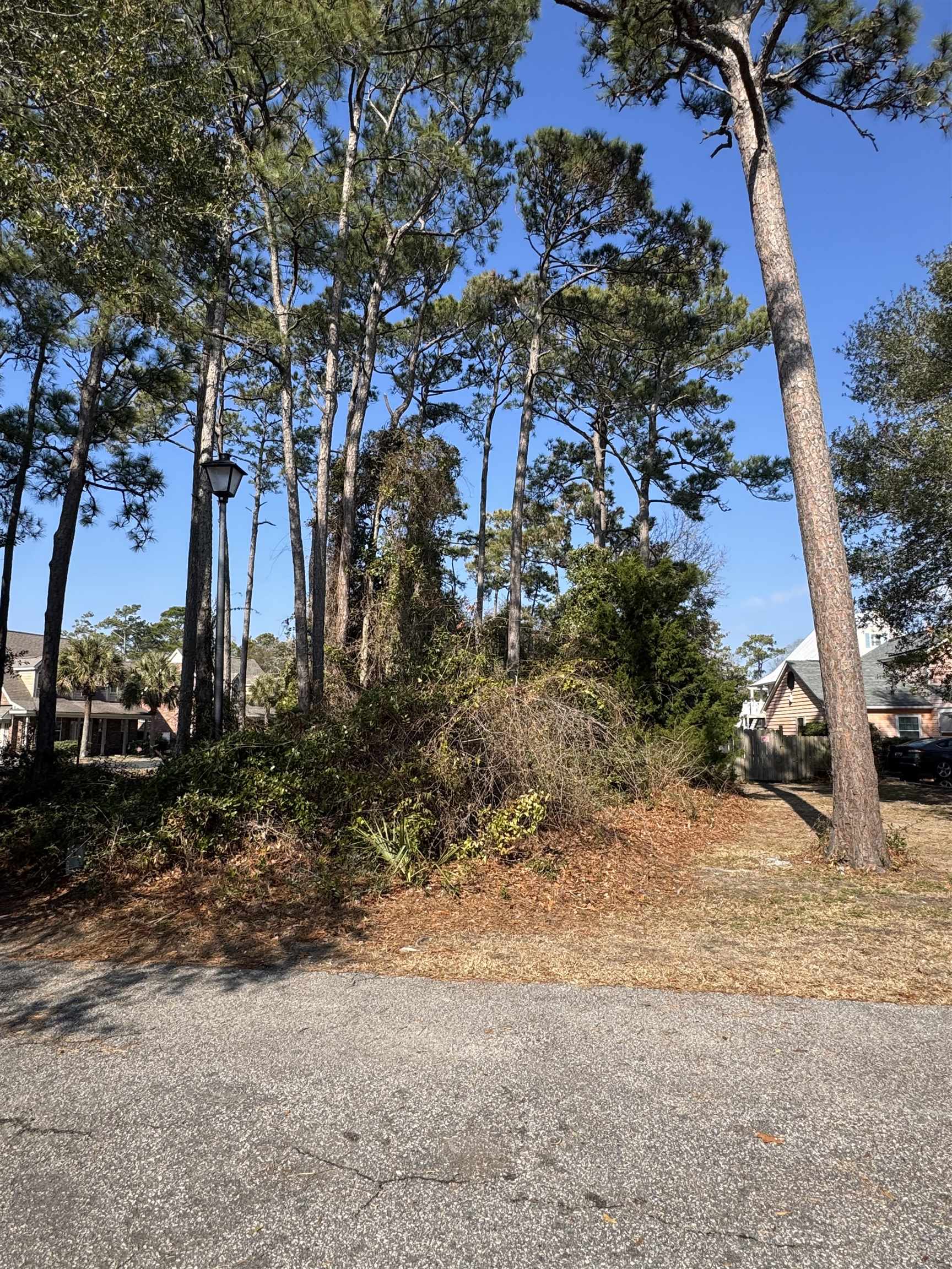 958 Tiffany Ln. Property Photo 4