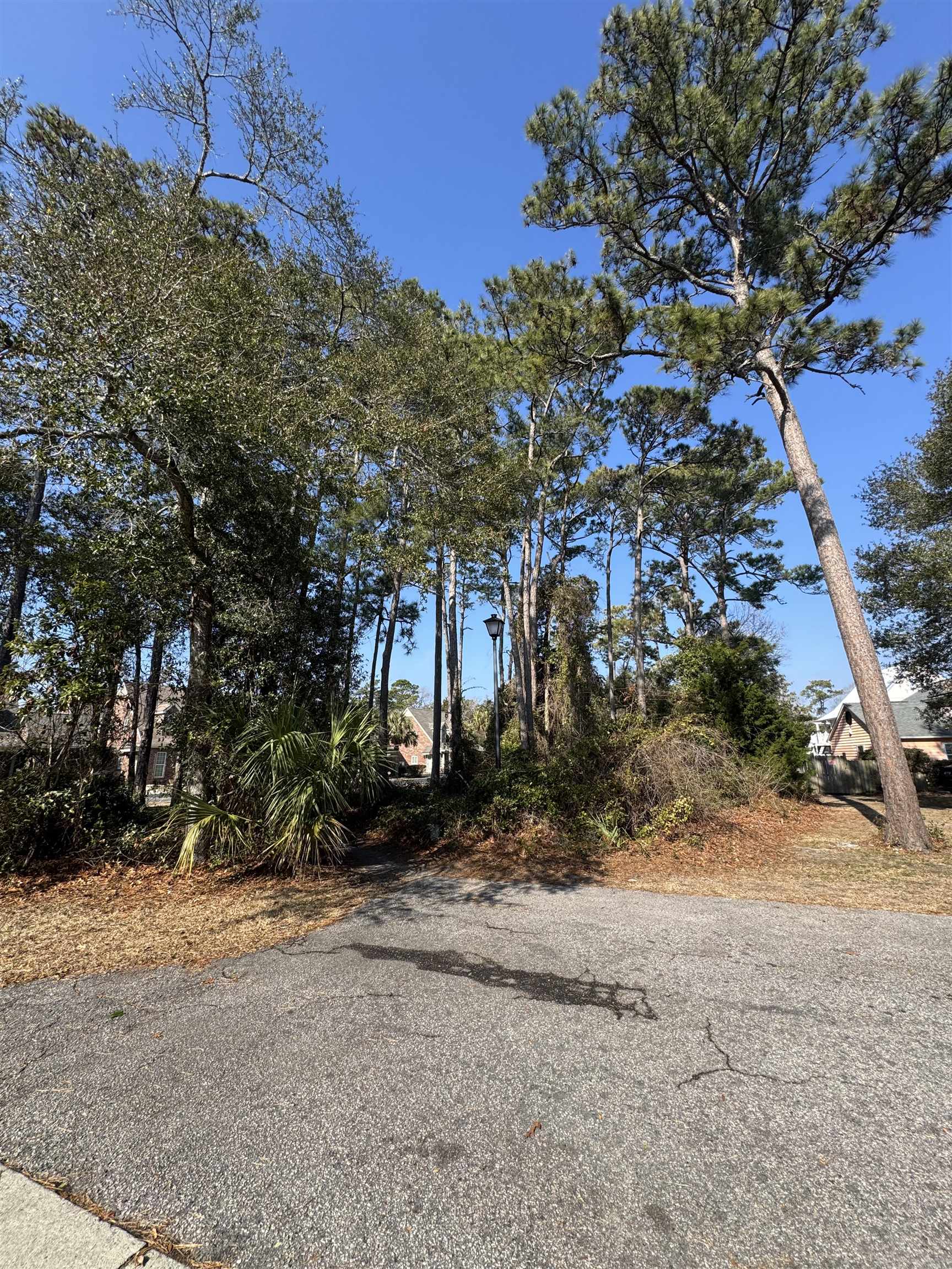 958 Tiffany Ln. Property Photo 9