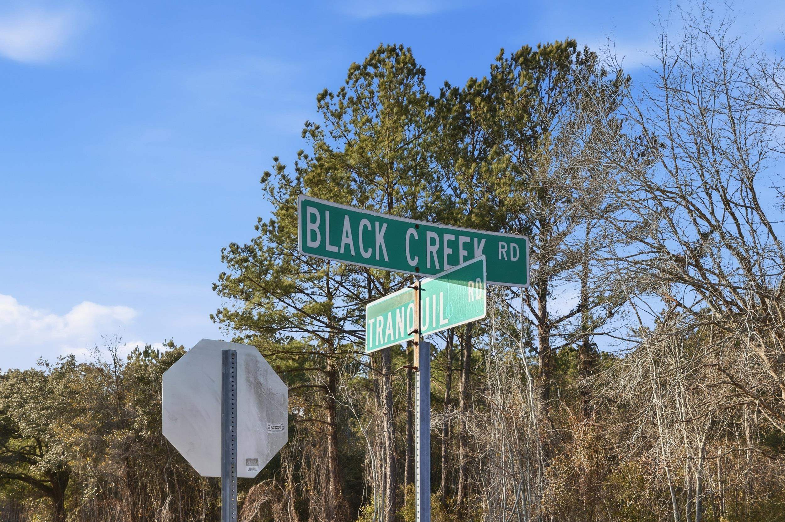 Tbd Black Creek Rd. Property Photo 2