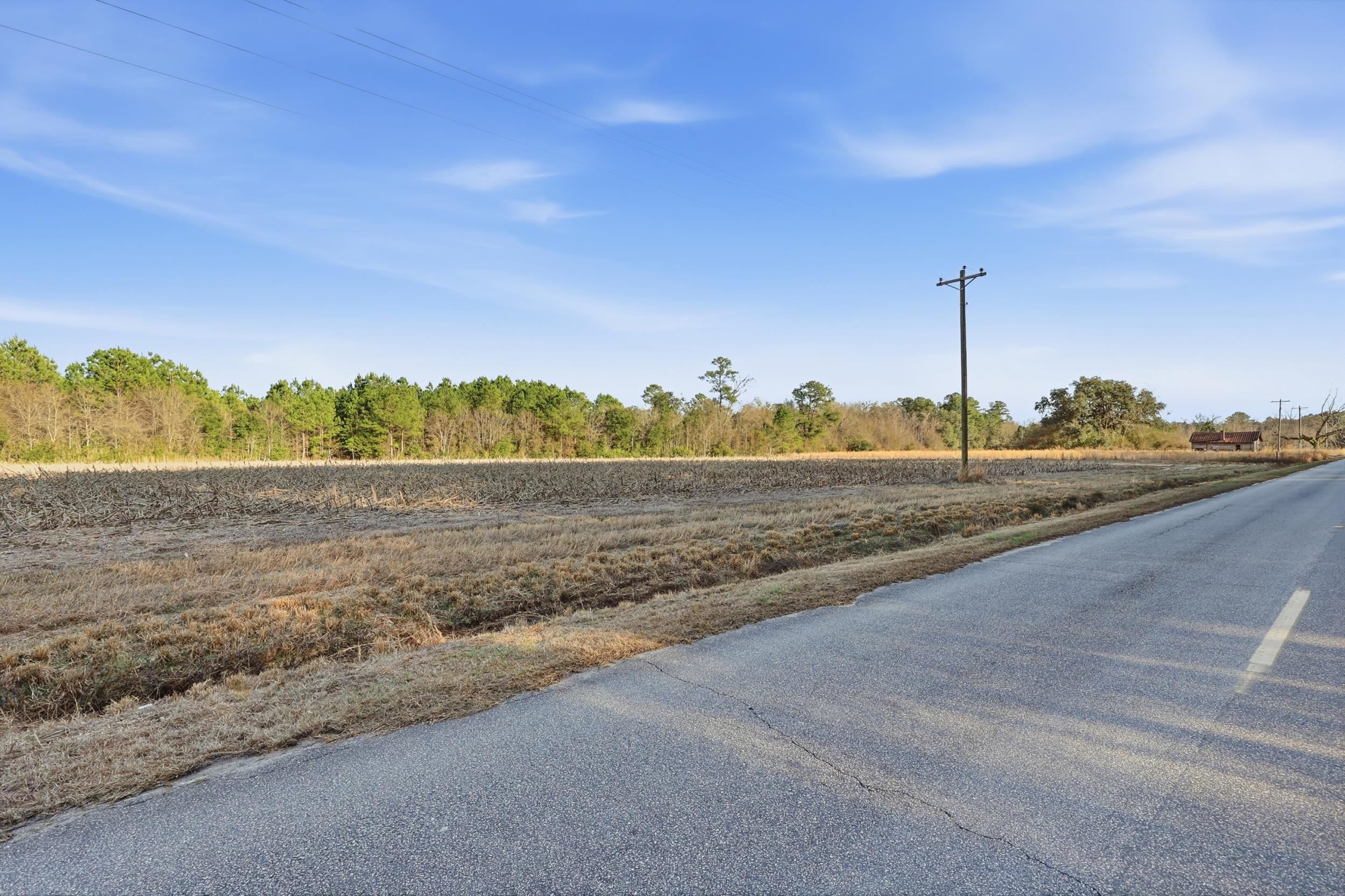 Tbd Black Creek Rd. Property Photo 4