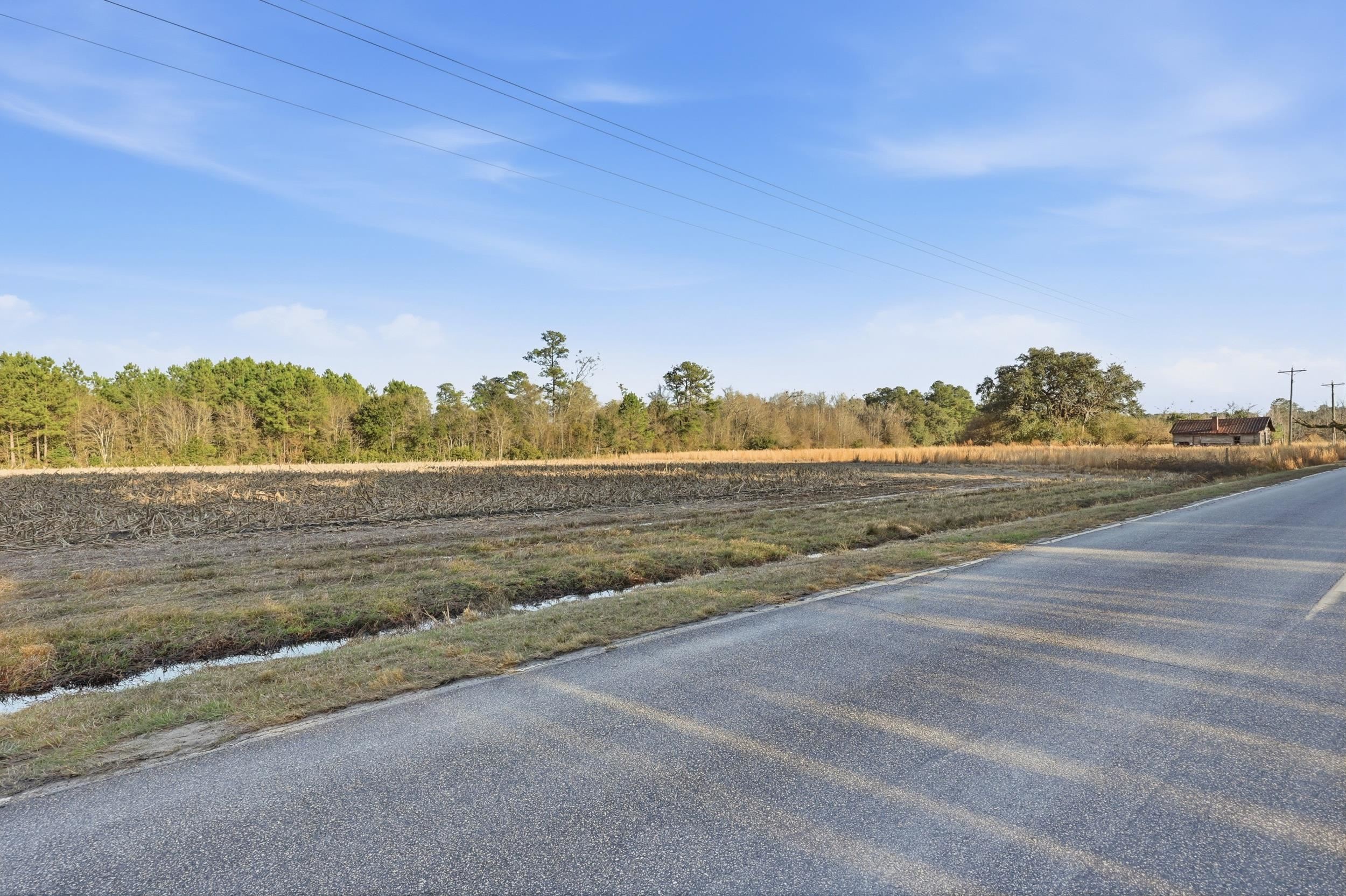 Tbd Black Creek Rd. Property Photo 5