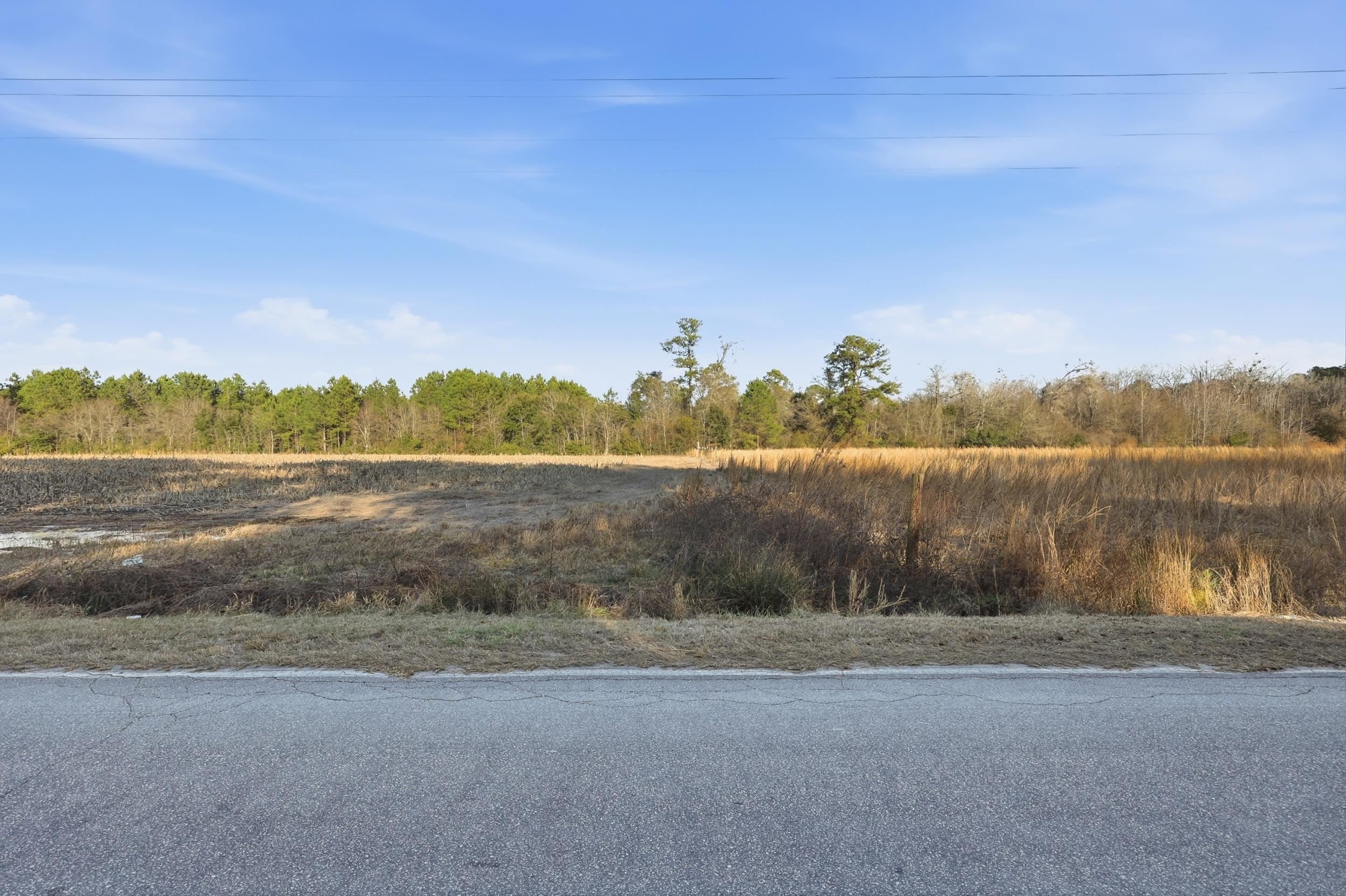 Tbd Black Creek Rd. Property Photo 6