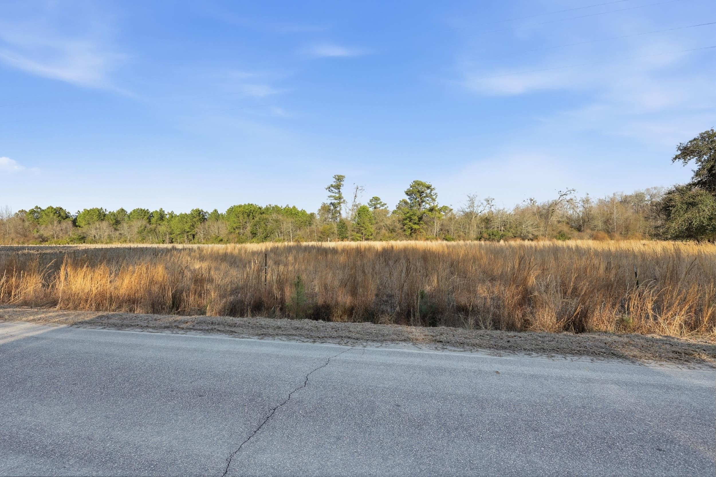Tbd Black Creek Rd. Property Photo 7