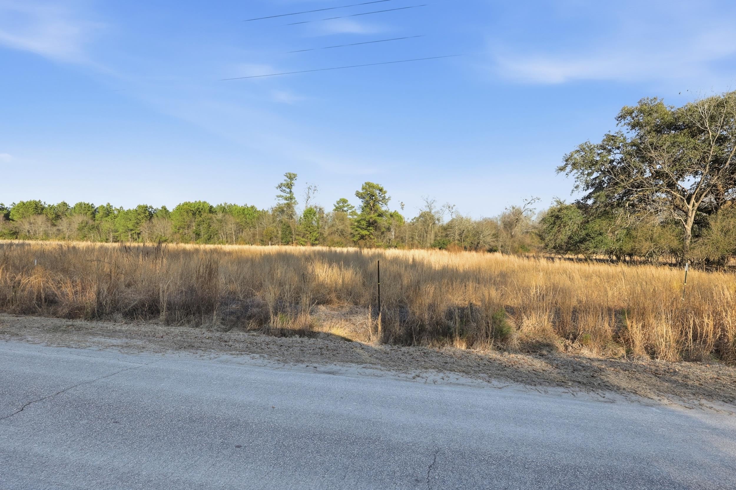 Tbd Black Creek Rd. Property Photo 8