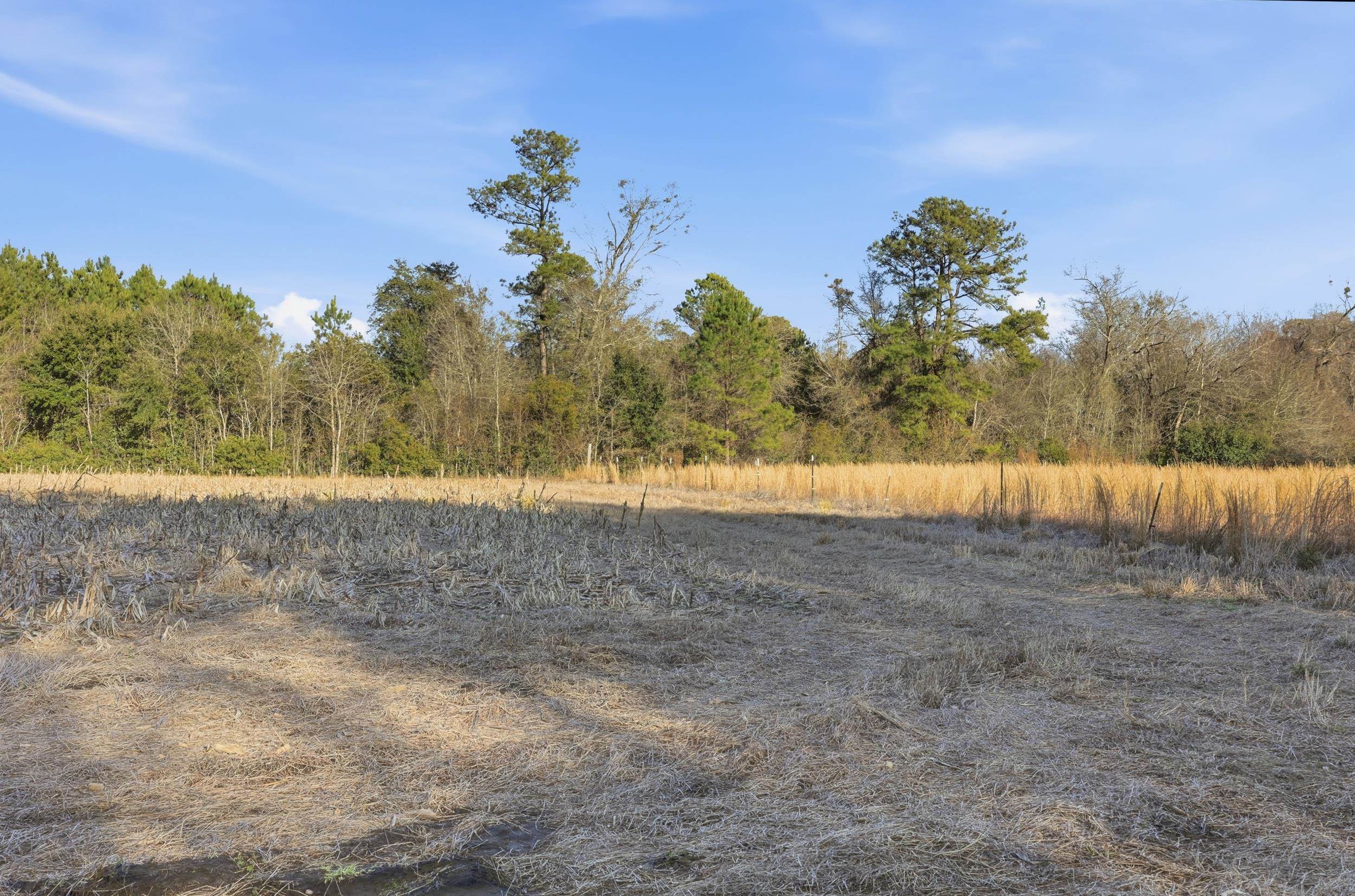 Tbd Black Creek Rd. Property Photo 9