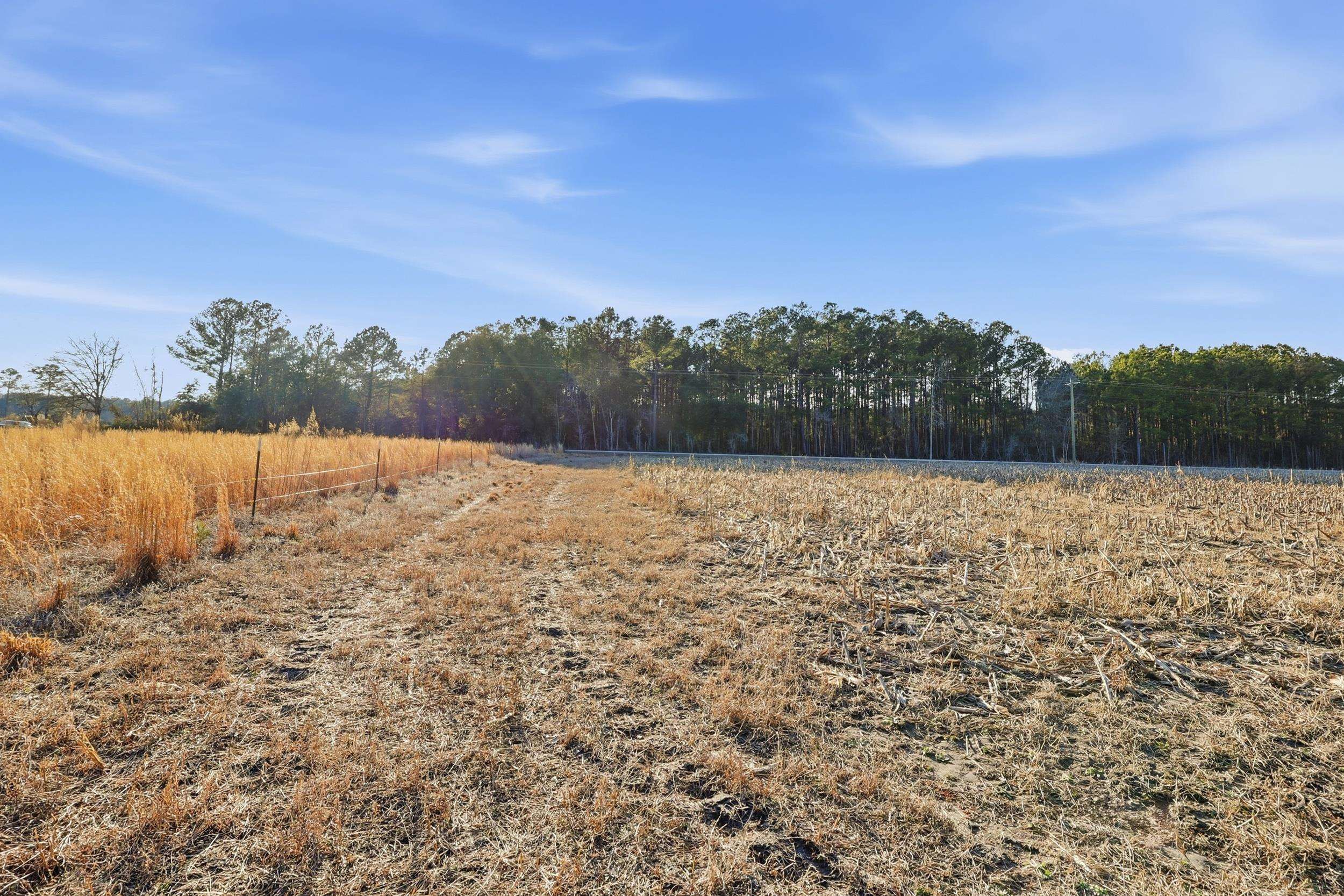 Tbd Black Creek Rd. Property Photo 10