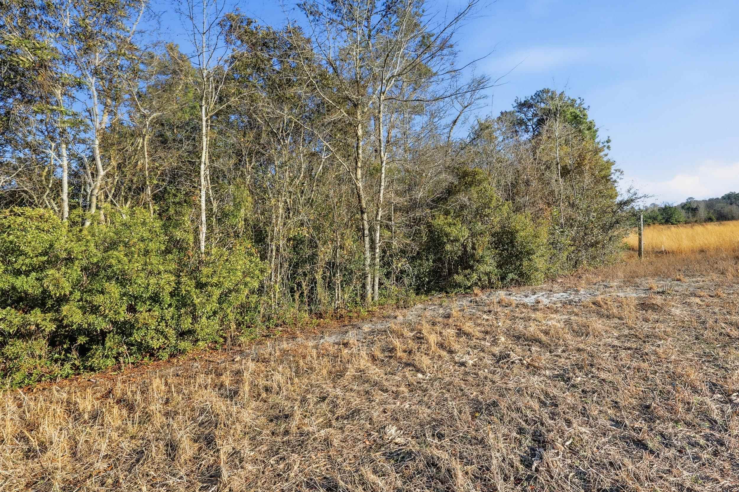 Tbd Black Creek Rd. Property Photo 11