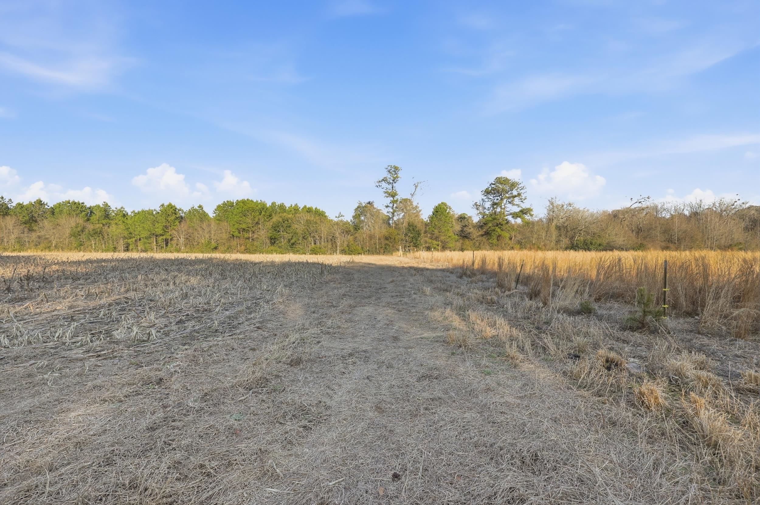 Tbd Black Creek Rd. Property Photo 12