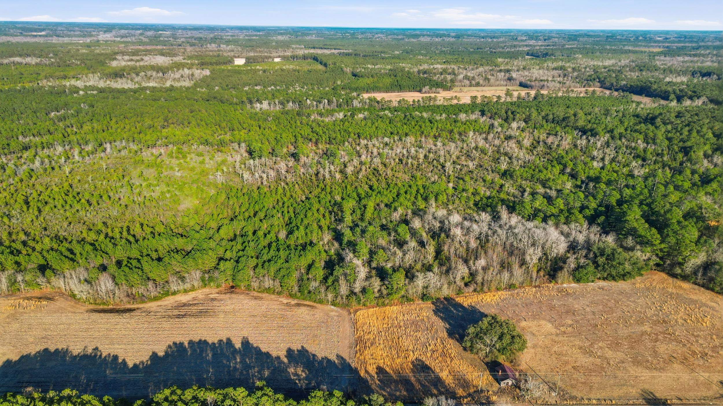 Tbd Black Creek Rd. Property Photo 14