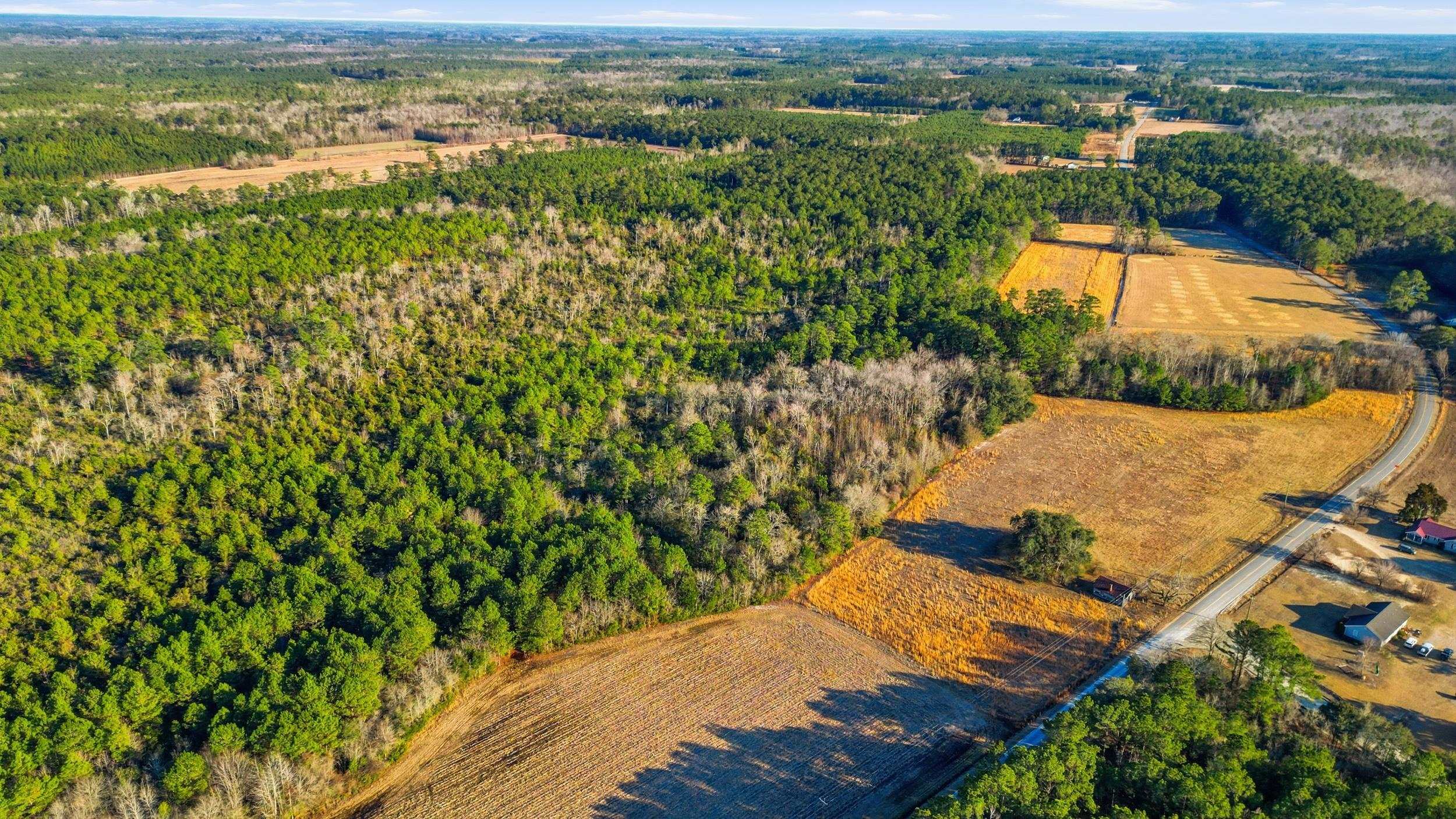 Tbd Black Creek Rd. Property Photo 15
