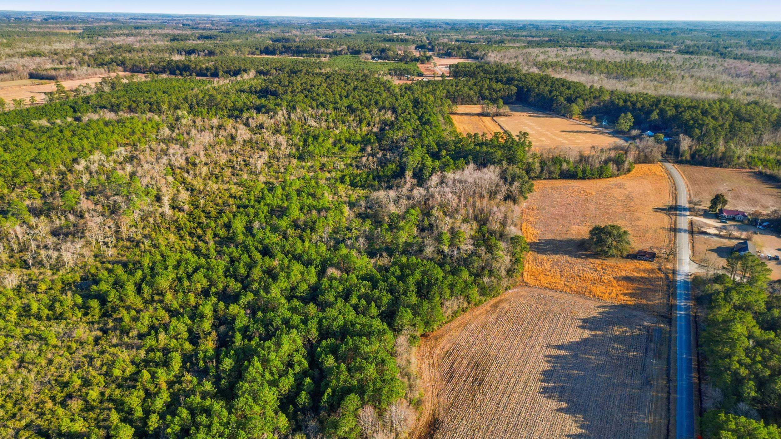 Tbd Black Creek Rd. Property Photo 16